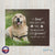 Personalized Pet Memorial Printed Throw Blanket - If Love Could Have Saved You - LifeSong Milestones