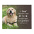 Personalized Pet Memorial Printed Throw Blanket - If Love Could Have Saved You - LifeSong Milestones