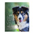 Personalized Pet Memorial Printed Throw Blanket - Once I Held You In My Arms - LifeSong Milestones