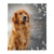 Personalized Pet Memorial Printed Throw Blanket - You Were My Favorite Hello - LifeSong Milestones