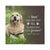 Personalized Pet Memorial Printed Throw Pillow Case - If Love Could Have Saved You - LifeSong Milestones