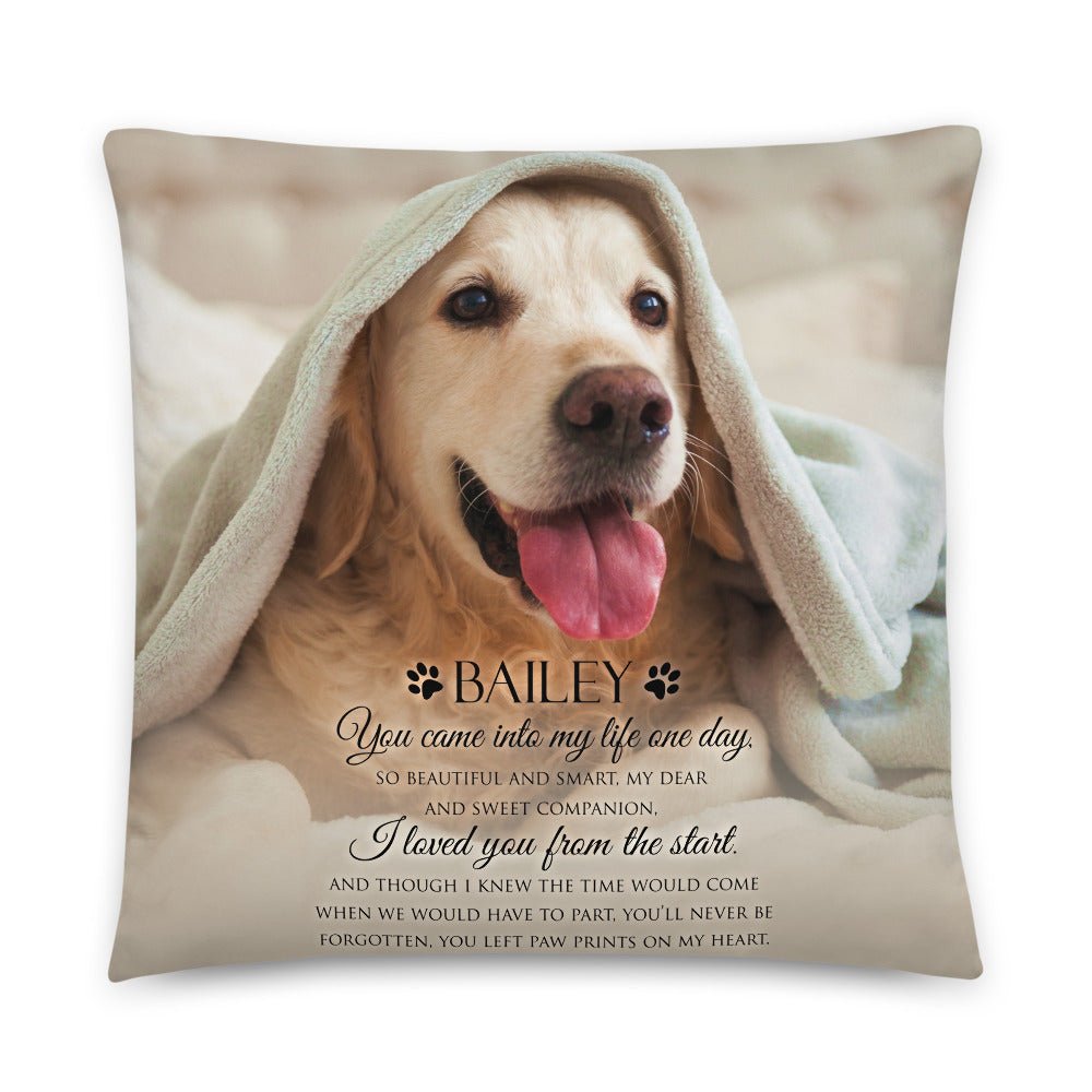 Personalized Pet Memorial Printed Throw Pillow - You Came Into My Life One Day - LifeSong Milestones