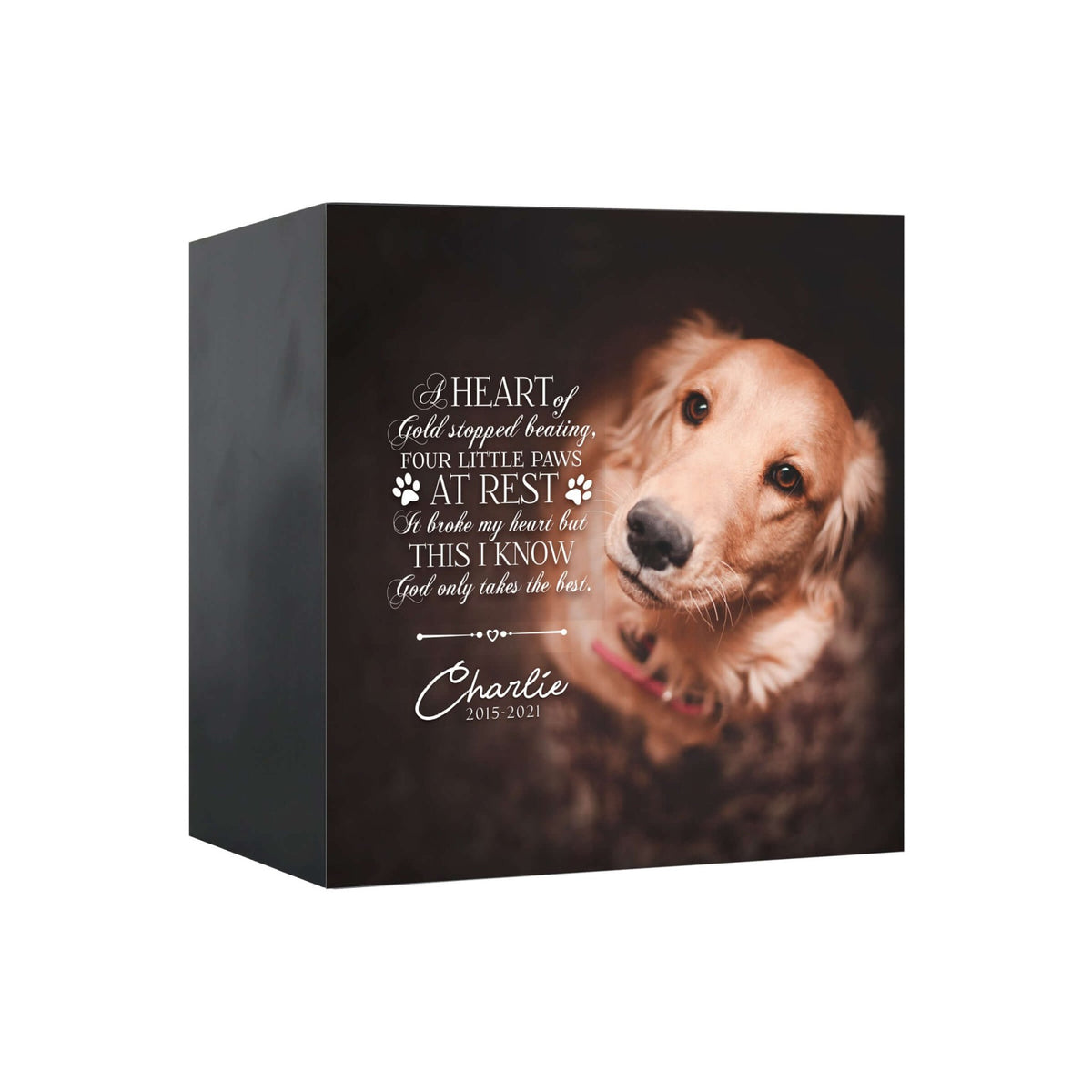 Close-up view of a Lifesong Milestones shadow box urn for dog or cat ashes, featuring a custom photo and a touching message. A high-quality wooden pet urn for ashes and a meaningful bereavement gift for someone who lost a pet.