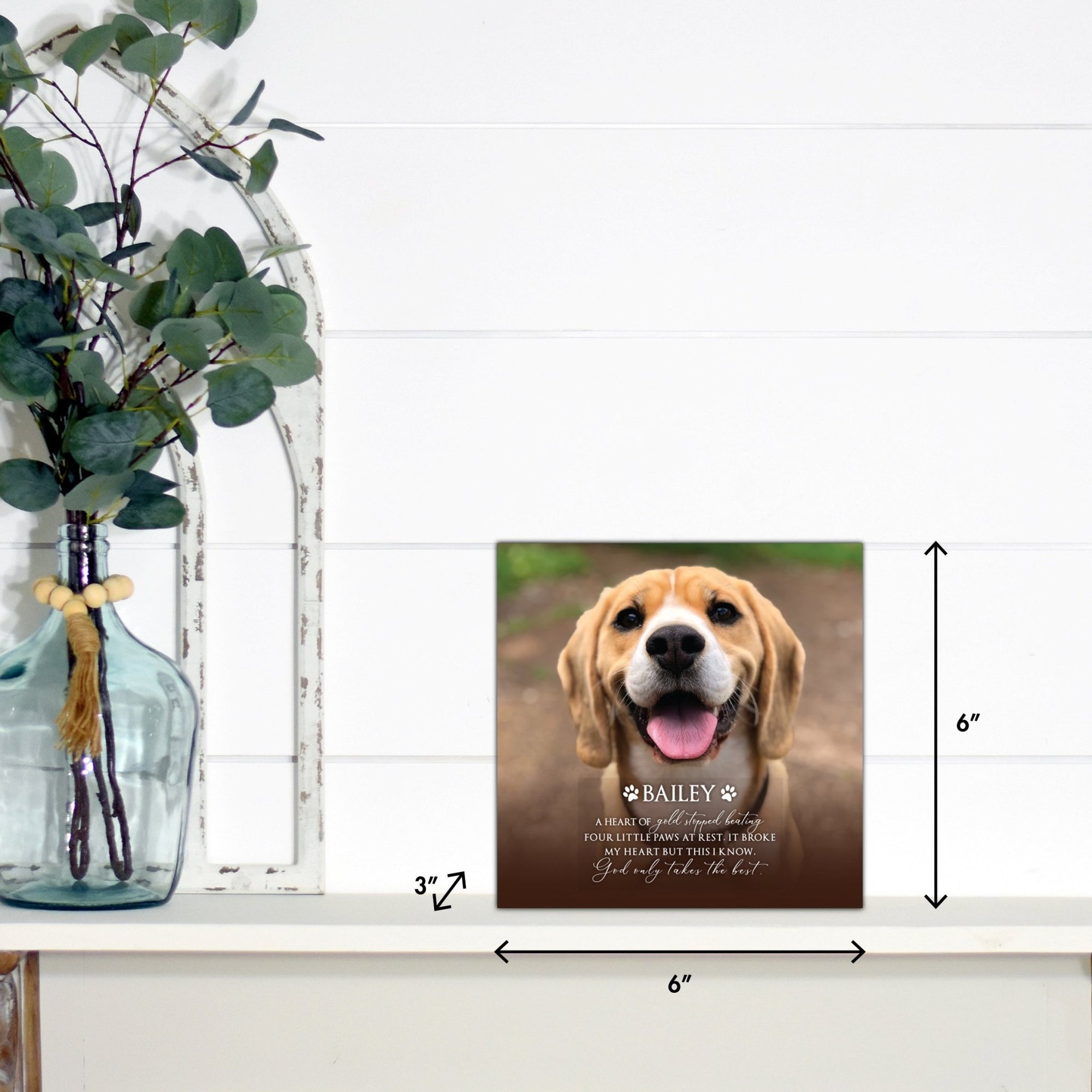 Pet Memorial Custom Photo Shadow Box Cremation Urn - A Heart Of Gold - LifeSong Milestones