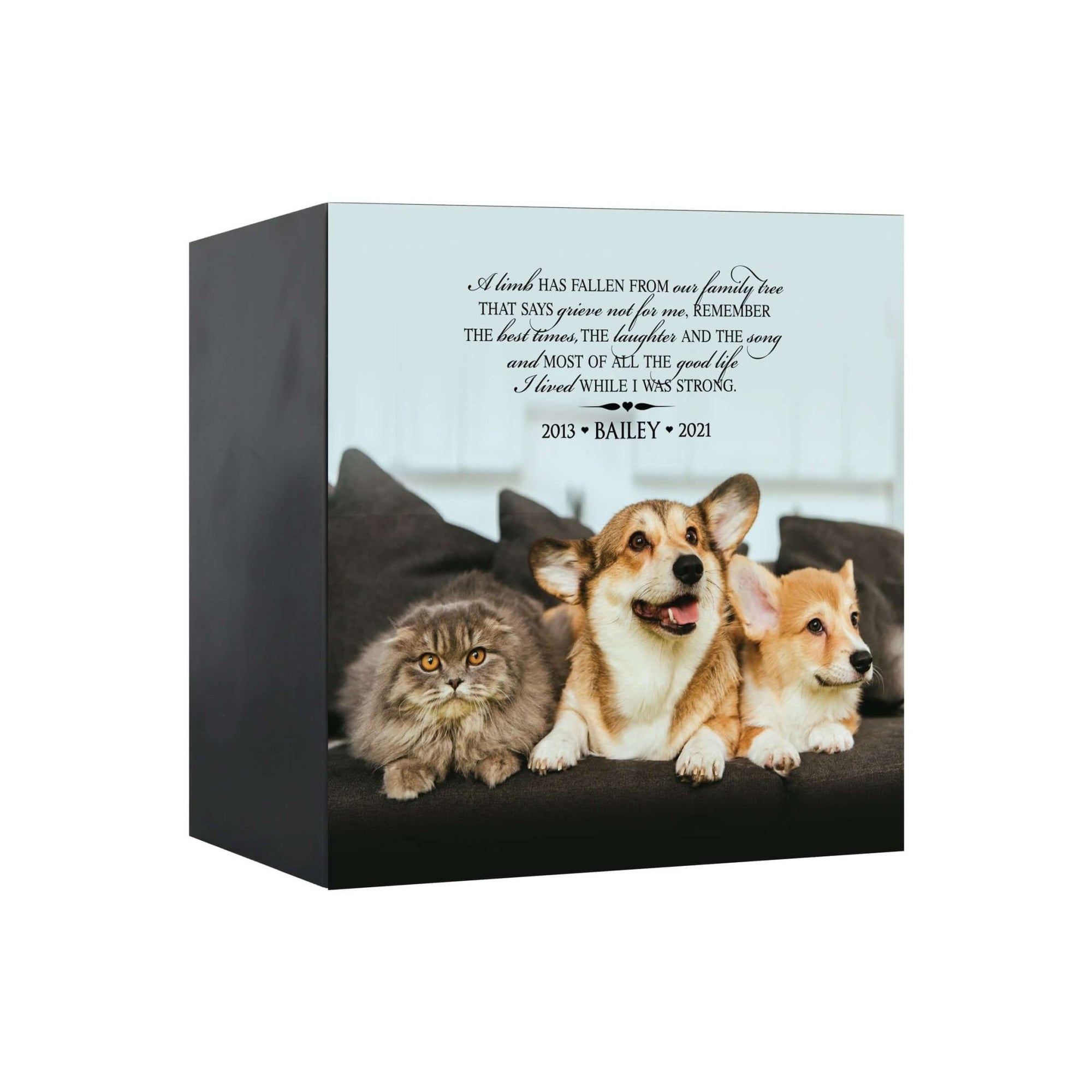 Pet Memorial Custom Photo Shadow Box Cremation Urn - A Limb Has Fallen From Our Family Tree - LifeSong Milestones