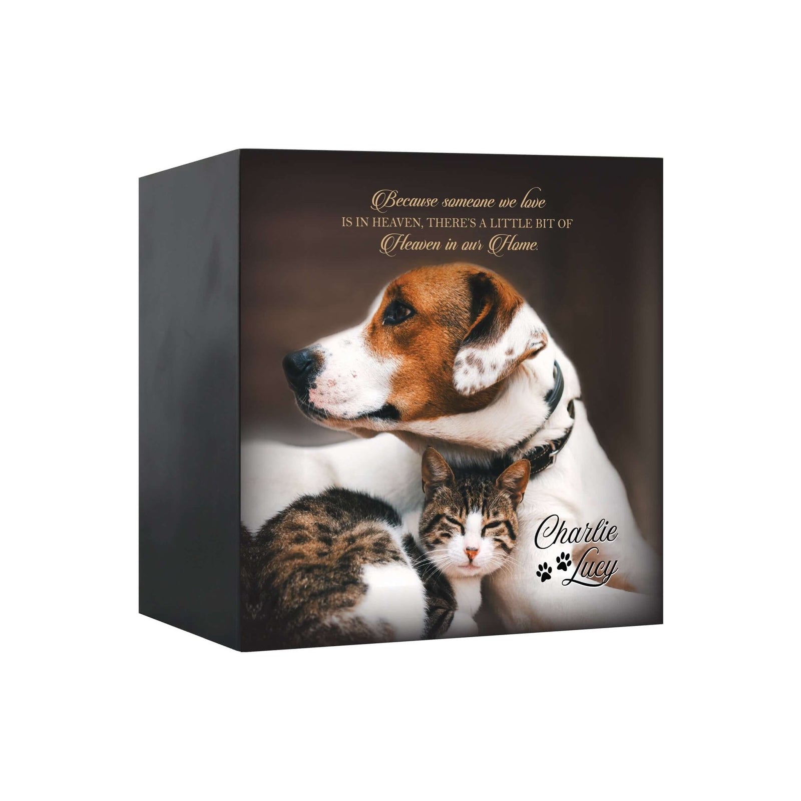 Pet Memorial Custom Photo Shadow Box Cremation Urn - Because Someone We Love Is In Heaven - LifeSong Milestones