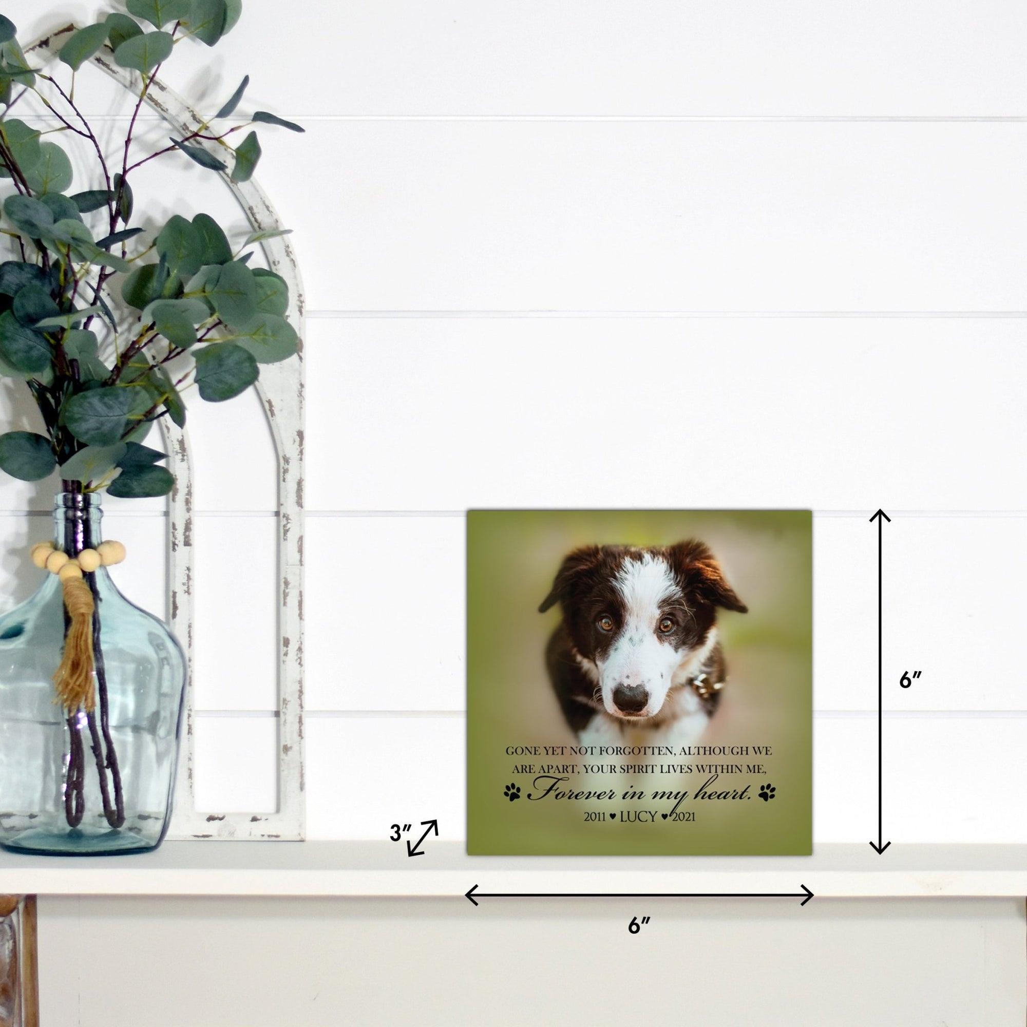 Pet Memorial Custom Photo Shadow Box Cremation Urn - Gone Yet Not Forgotten - LifeSong Milestones