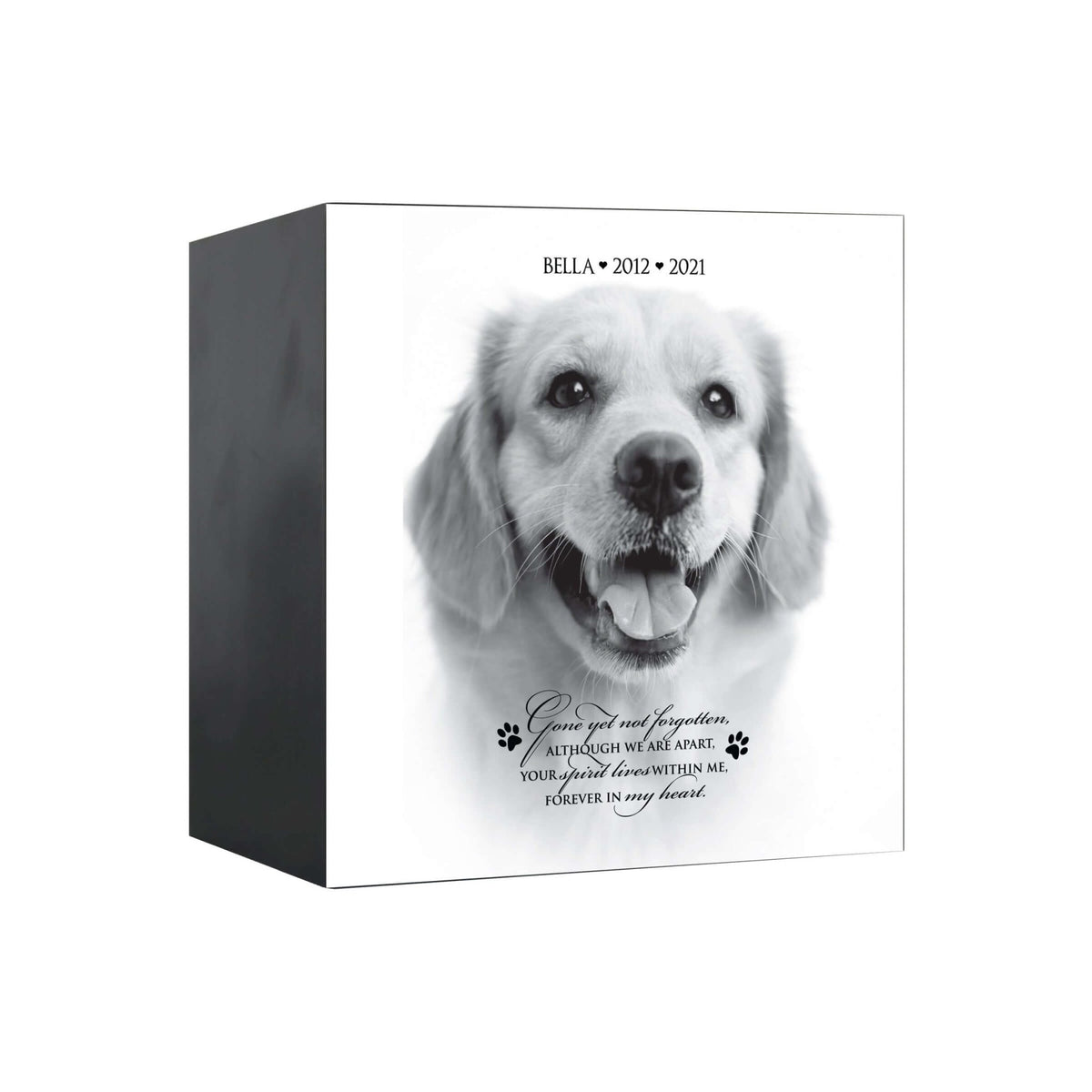 Pet Memorial Custom Photo Shadow Box Cremation Urn - Gone Yet Not Forgotten - LifeSong Milestones