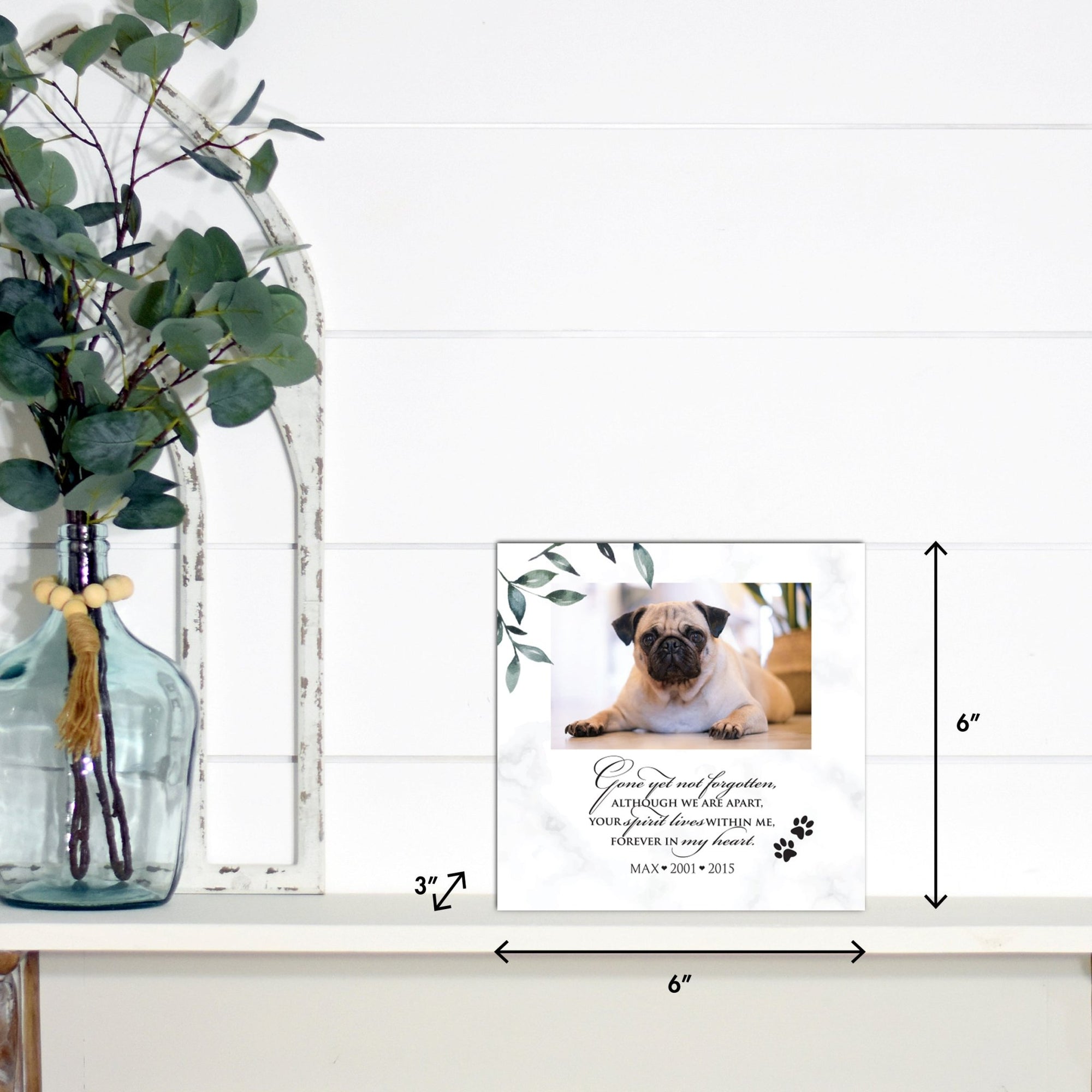 Pet Memorial Custom Photo Shadow Box Cremation Urn - Gone Yet Not Forgotten - LifeSong Milestones