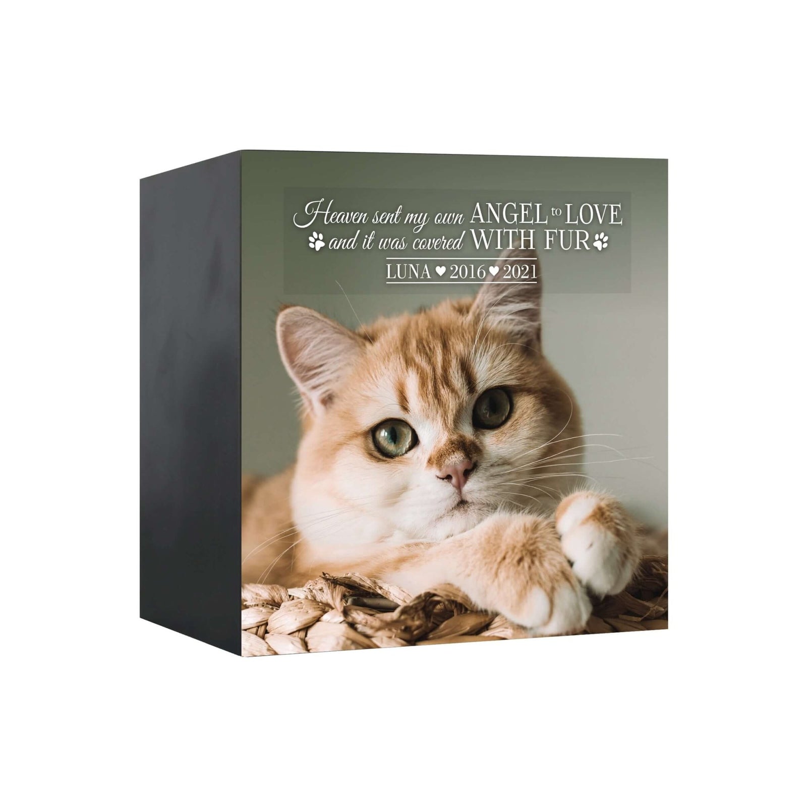 Pet Memorial Custom Photo Shadow Box Cremation Urn - Heaven Sent My Own Angel - LifeSong Milestones