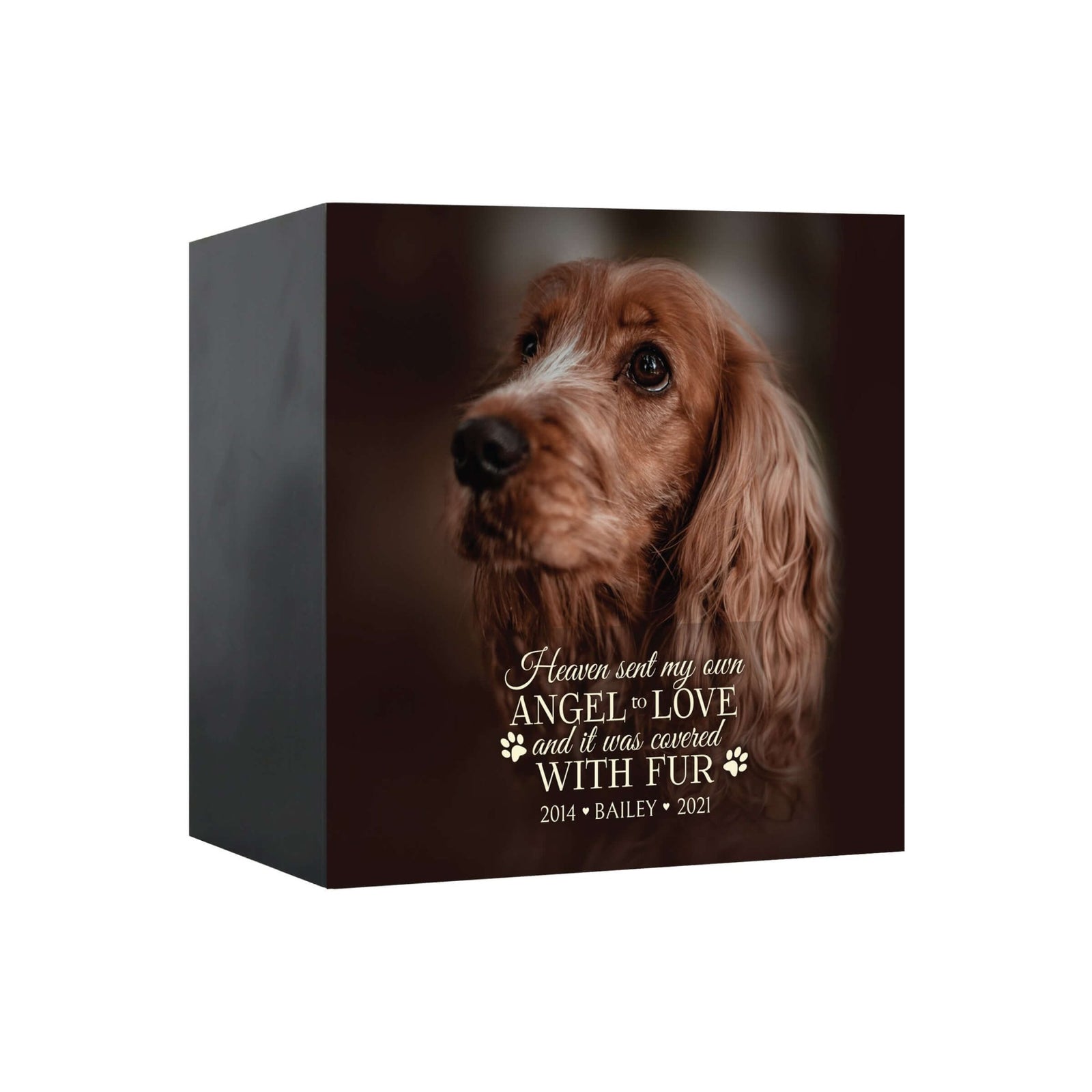 Pet Memorial Custom Photo Shadow Box Cremation Urn - Heaven Sent My Own Angel - LifeSong Milestones