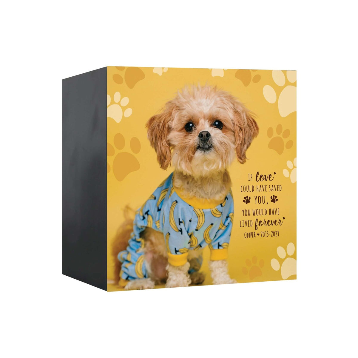Pet Memorial Custom Photo Shadow Box Cremation Urn - If Love Could Have Saved You - LifeSong Milestones