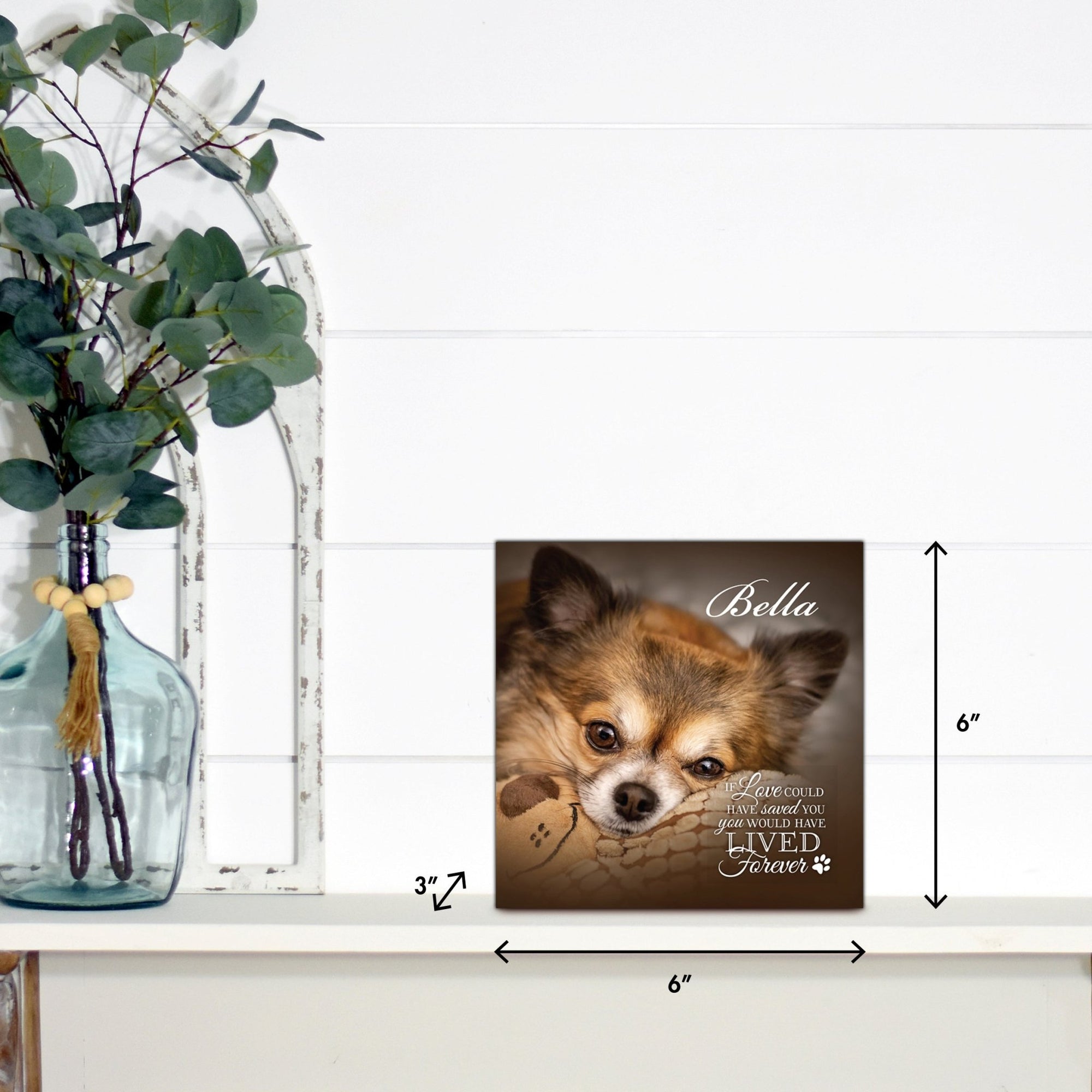 Pet Memorial Custom Photo Shadow Box Cremation Urn - If Love Could Have Saved You - LifeSong Milestones