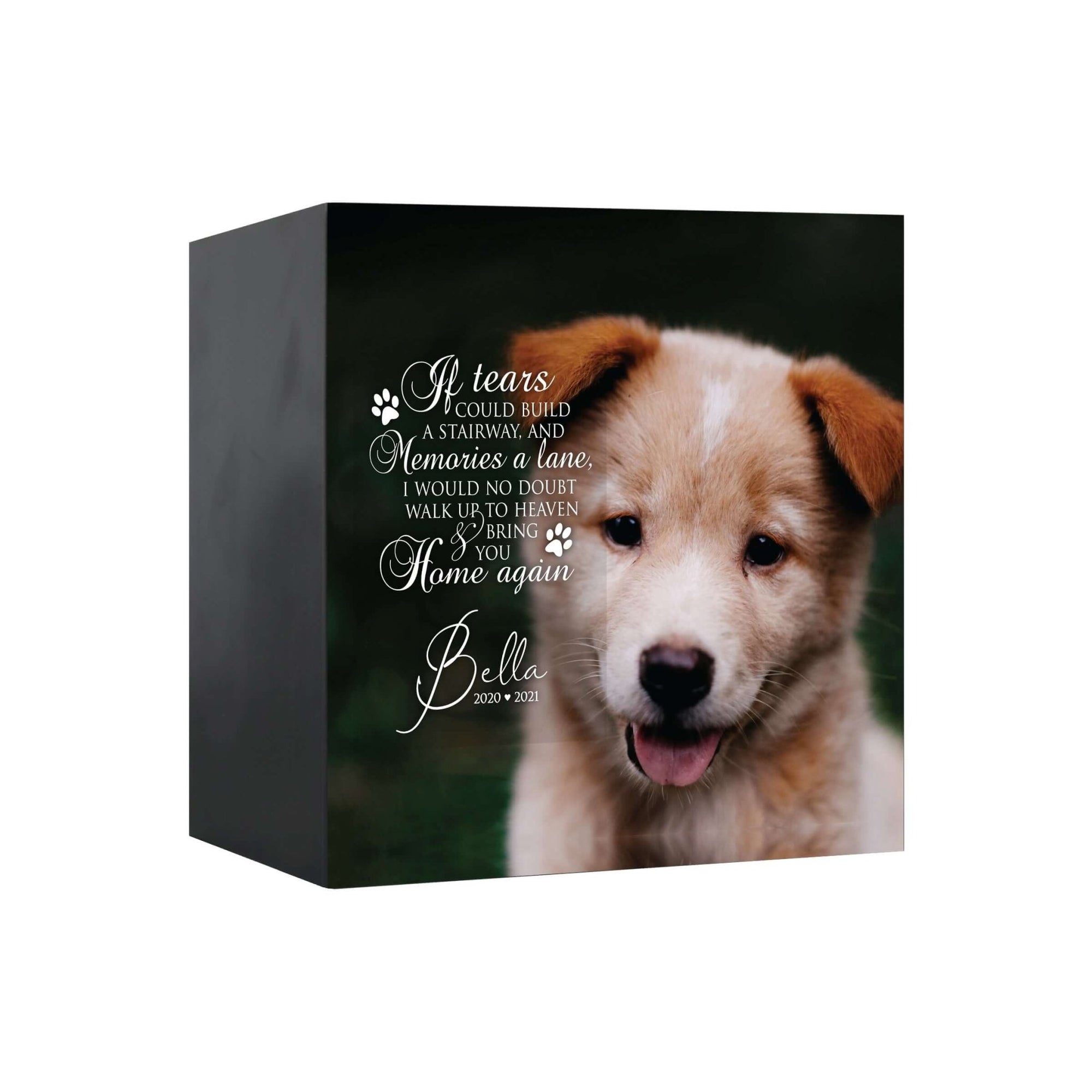 Pet Memorial Custom Photo Shadow Box Cremation Urn - If Tears Could Build A Stairway - LifeSong Milestones