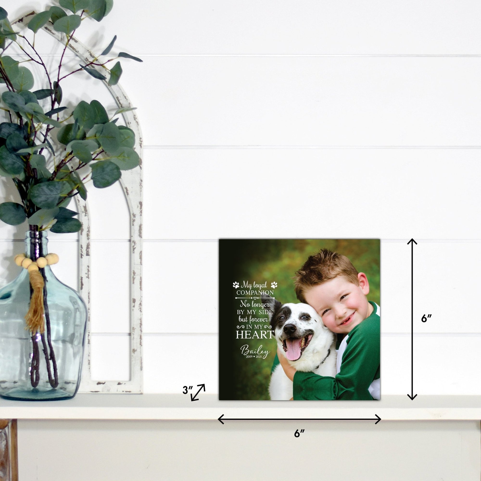 Pet Memorial Custom Photo Shadow Box Cremation Urn - My Loyal Companion - LifeSong Milestones