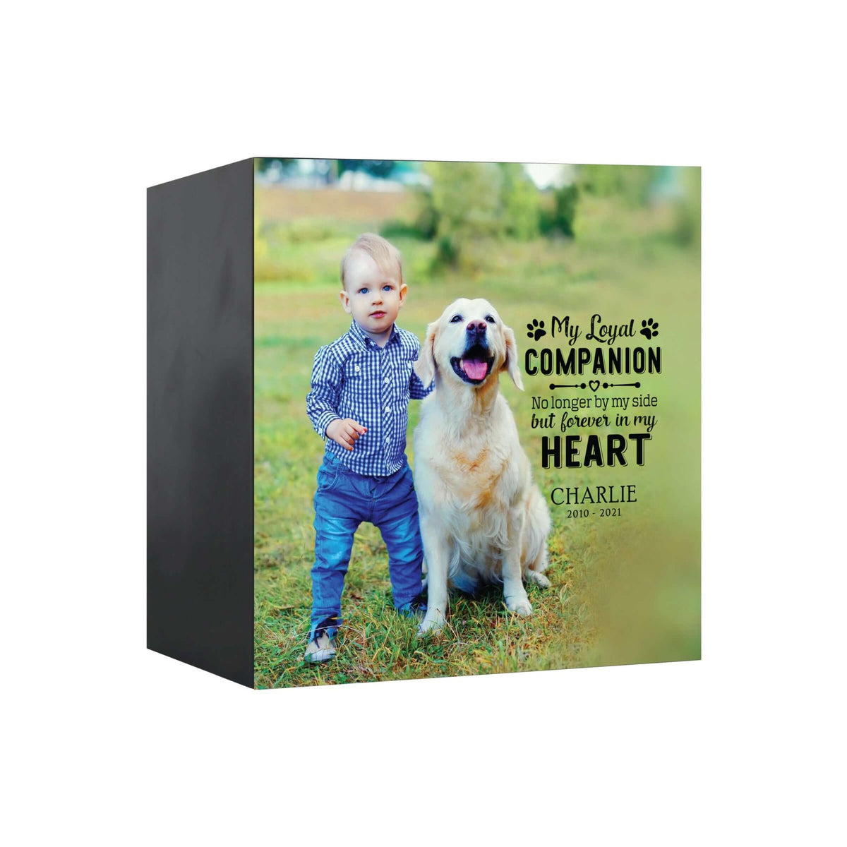 Pet Memorial Custom Photo Shadow Box Cremation Urn - My Loyal Companion - LifeSong Milestones