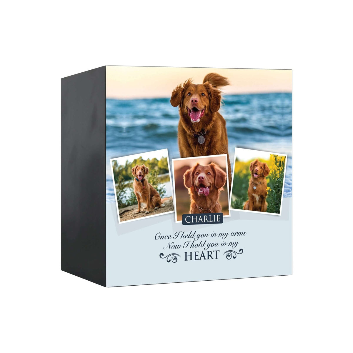 Pet Memorial Custom Photo Shadow Box Cremation Urn - Once I Held You In My Arms - LifeSong Milestones