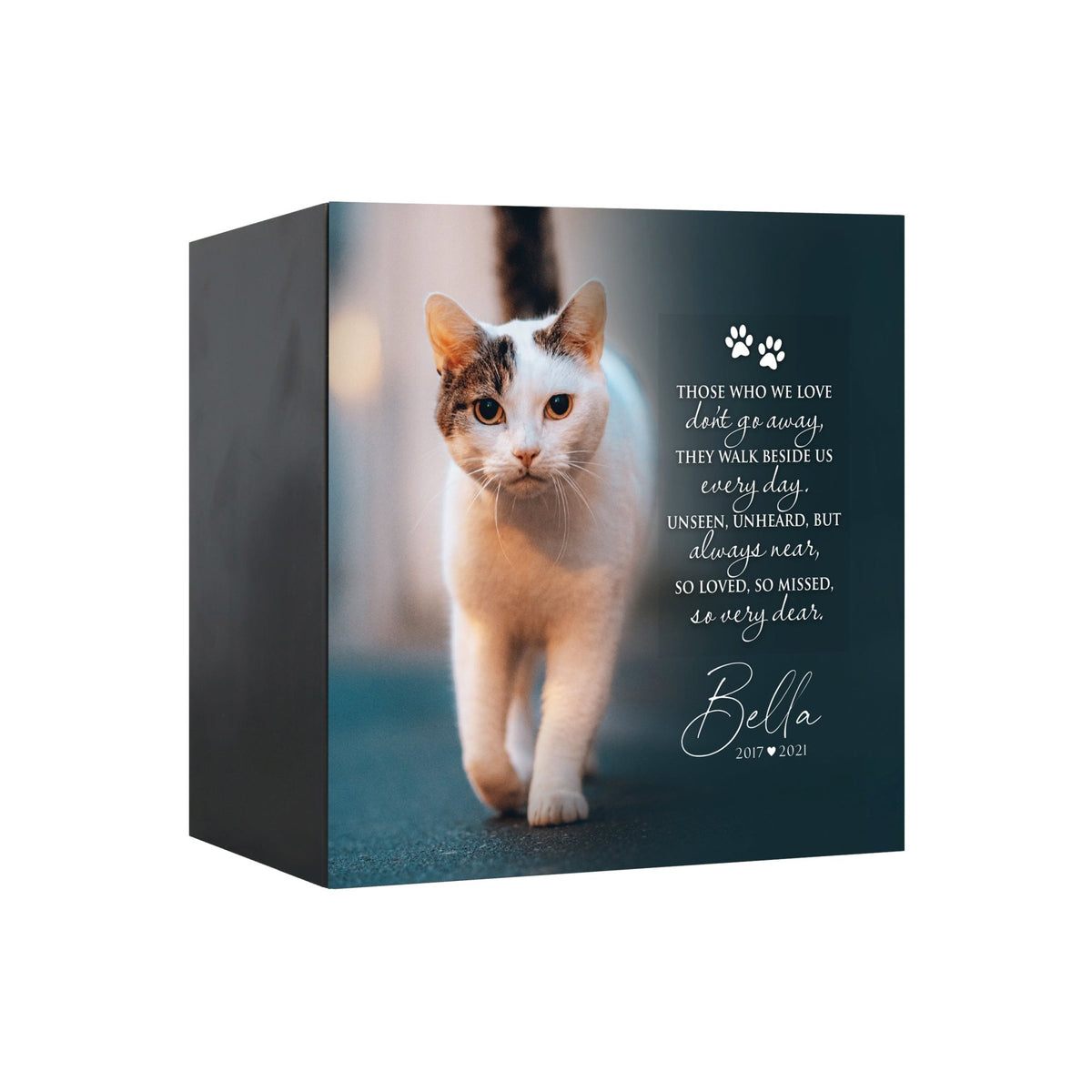 Pet Memorial Custom Photo Shadow Box Cremation Urn - Those Who We Love Don&#39;t Go Away - LifeSong Milestones