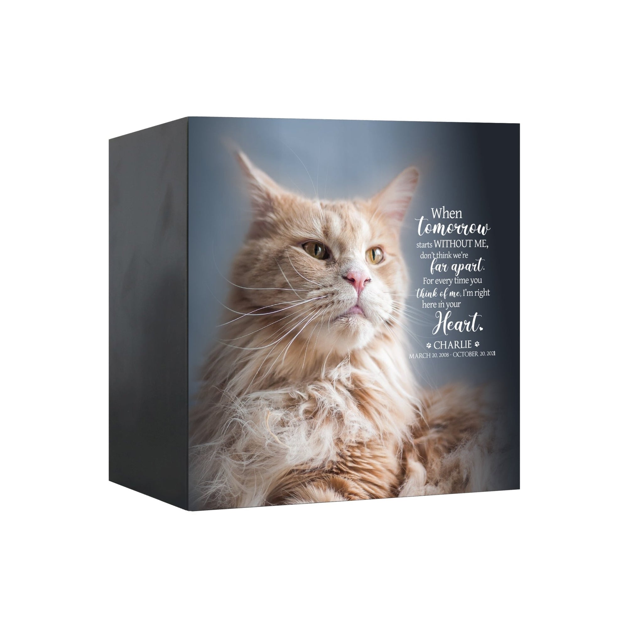 Pet Memorial Custom Photo Shadow Box Cremation Urn - When Tomorrow Starts Without Me - LifeSong Milestones