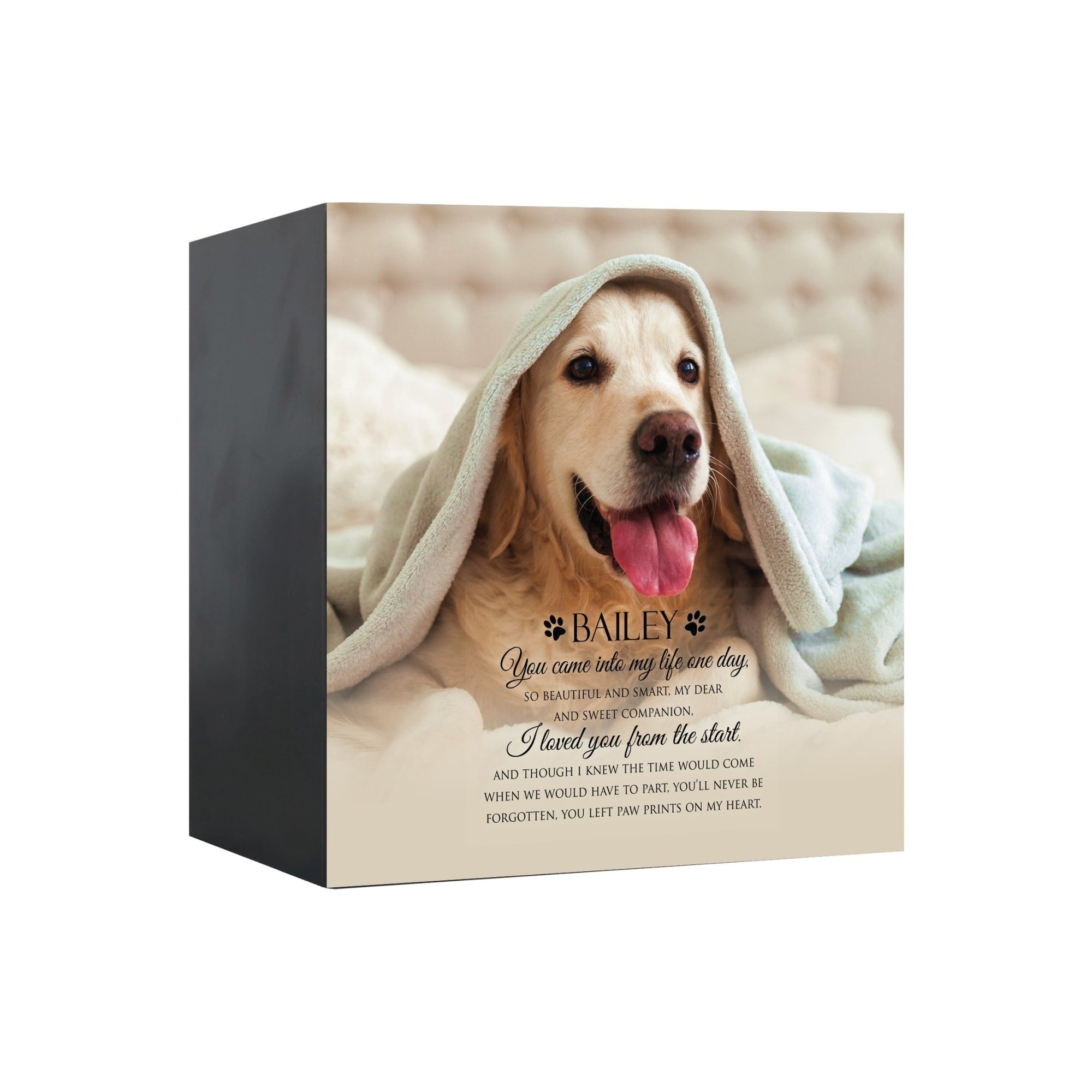 Pet Memorial Custom Photo Shadow Box Cremation Urn - You Came Into My Life One Day - LifeSong Milestones