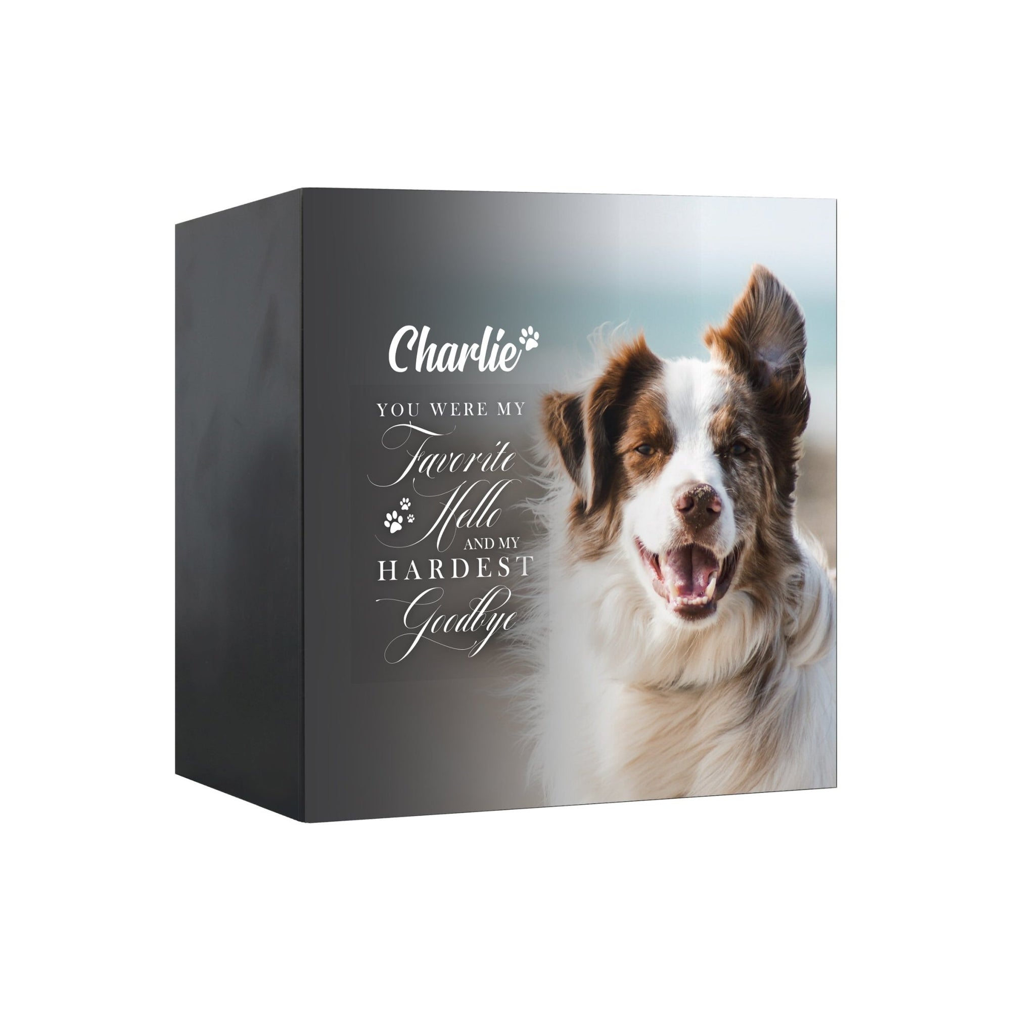 Pet Memorial Custom Photo Shadow Box Cremation Urn - You Were My Favorite Hello - LifeSong Milestones