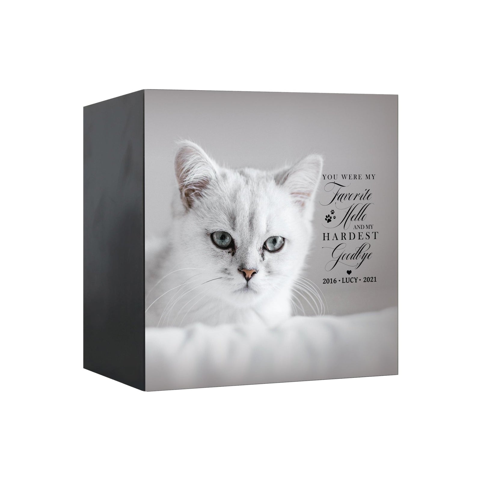 Pet Memorial Custom Photo Shadow Box Cremation Urn - You Were My Favorite Hello - LifeSong Milestones