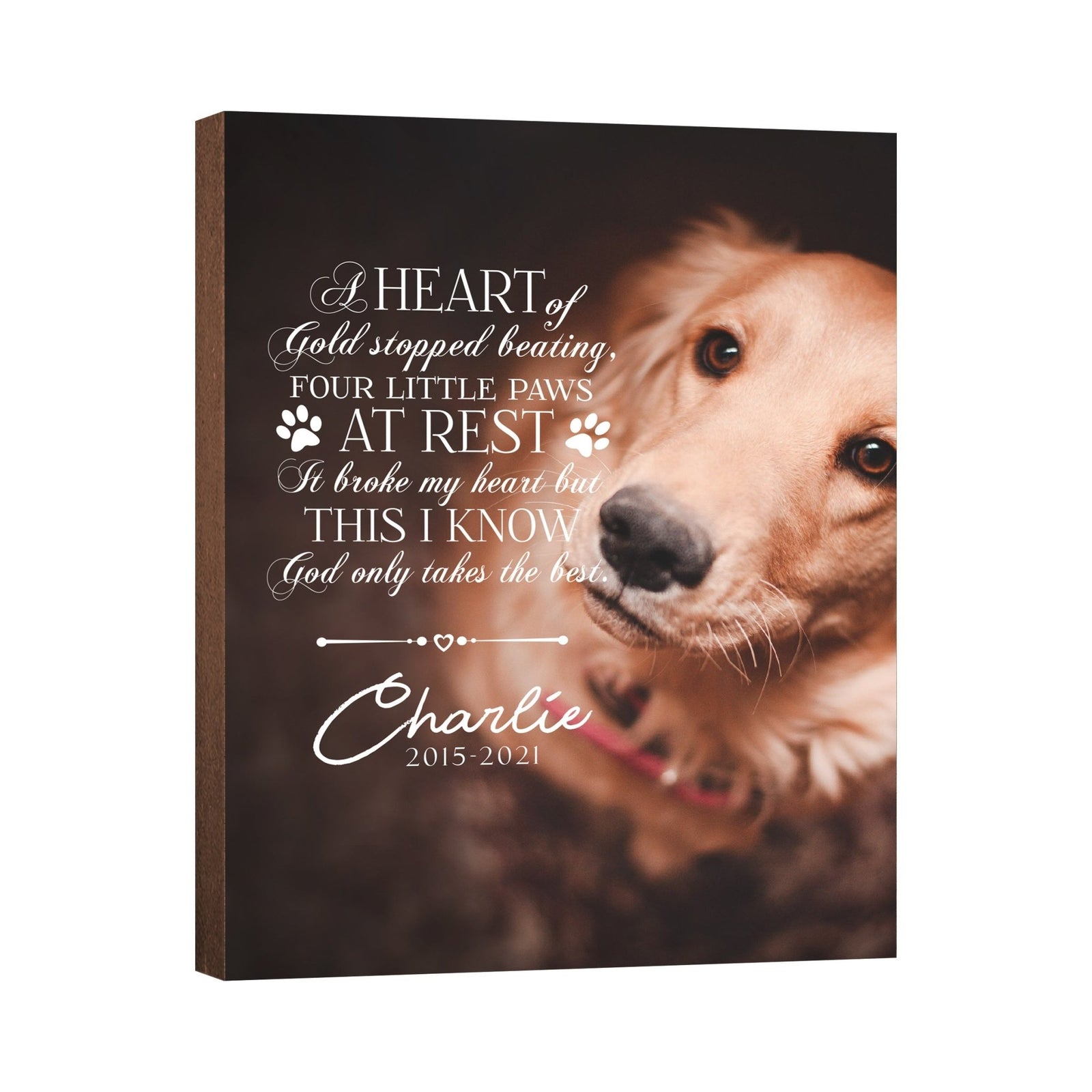 Pet Memorial Custom Photo Wall Plaque Décor - A Heart Of Gold - LifeSong Milestones