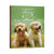 Pet Memorial Custom Photo Wall Plaque Décor - A Memory Is A Beautiful Joy - LifeSong Milestones