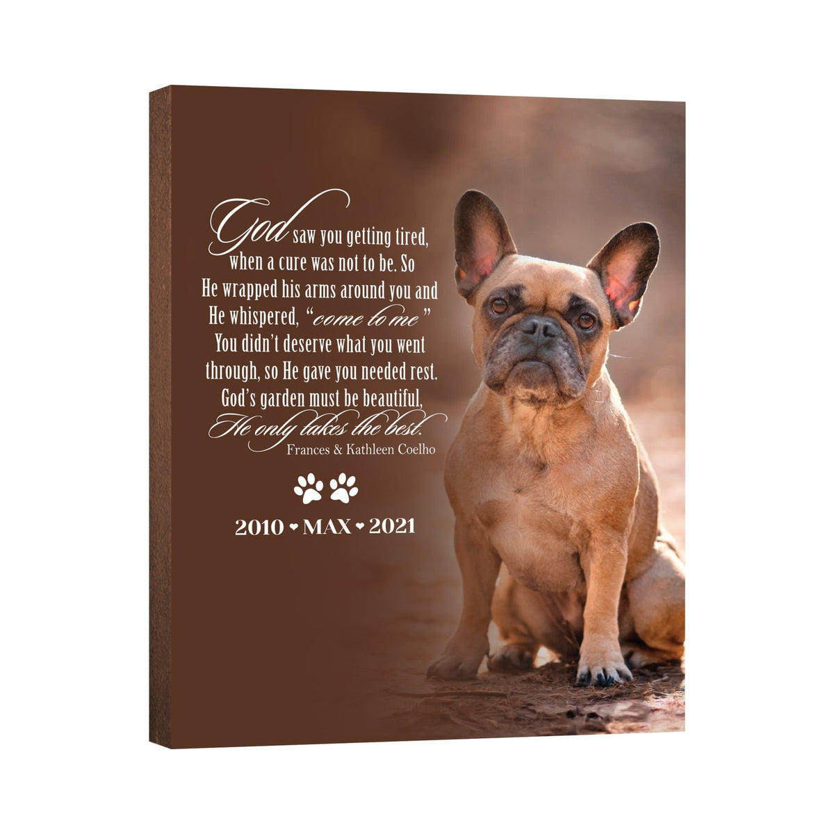 Pet Memorial Custom Photo Wall Plaque Décor - God Saw You Getting Tired - LifeSong Milestones