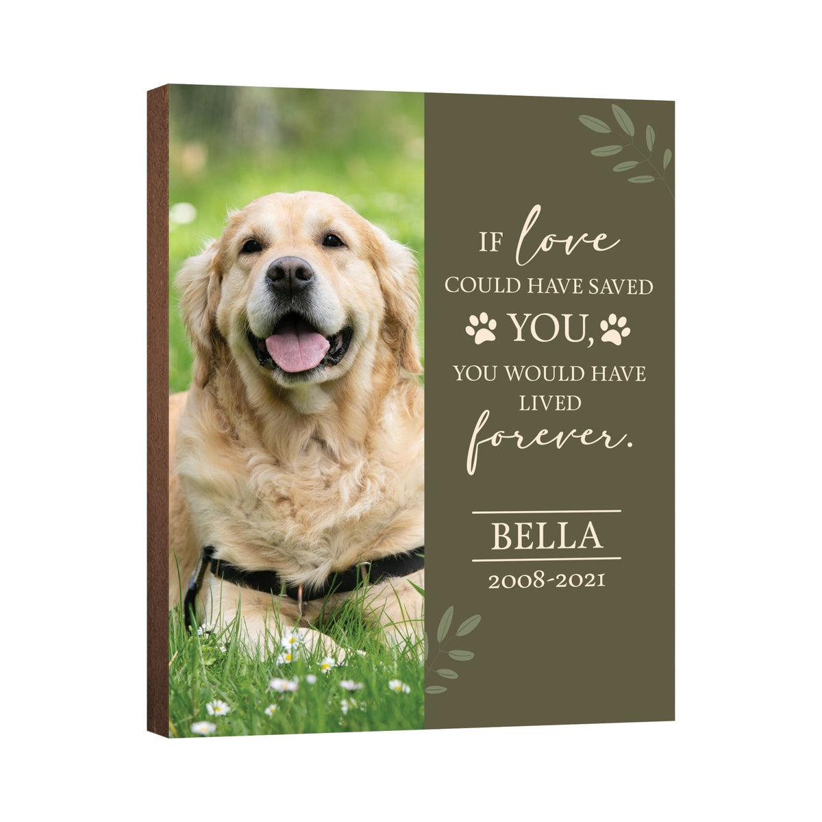 Pet Memorial Custom Photo Wall Plaque Décor - If Love Could Have Saved You - LifeSong Milestones