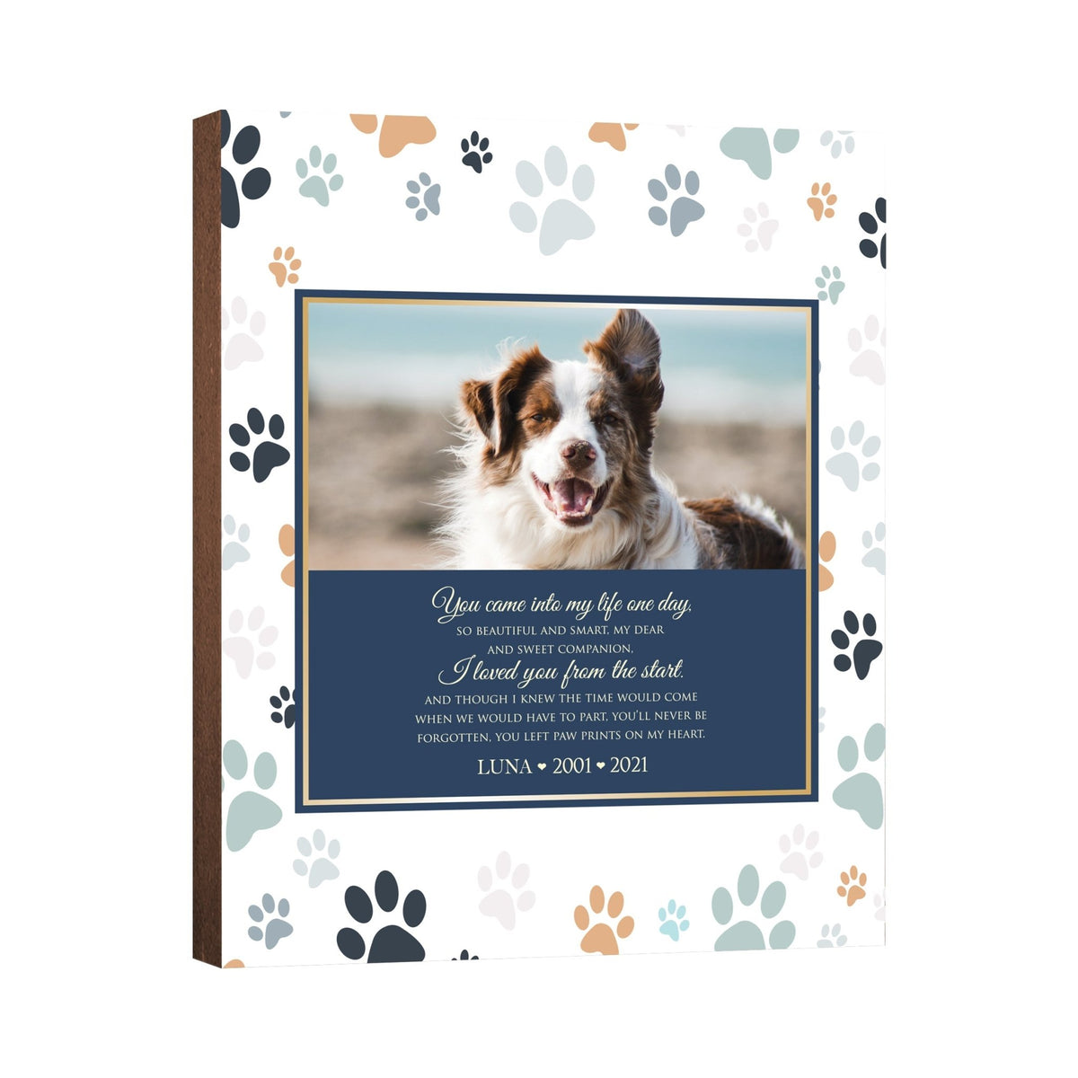 Pet Memorial Custom Photo Wall Plaque Décor - You Came Into My Life One Day - LifeSong Milestones