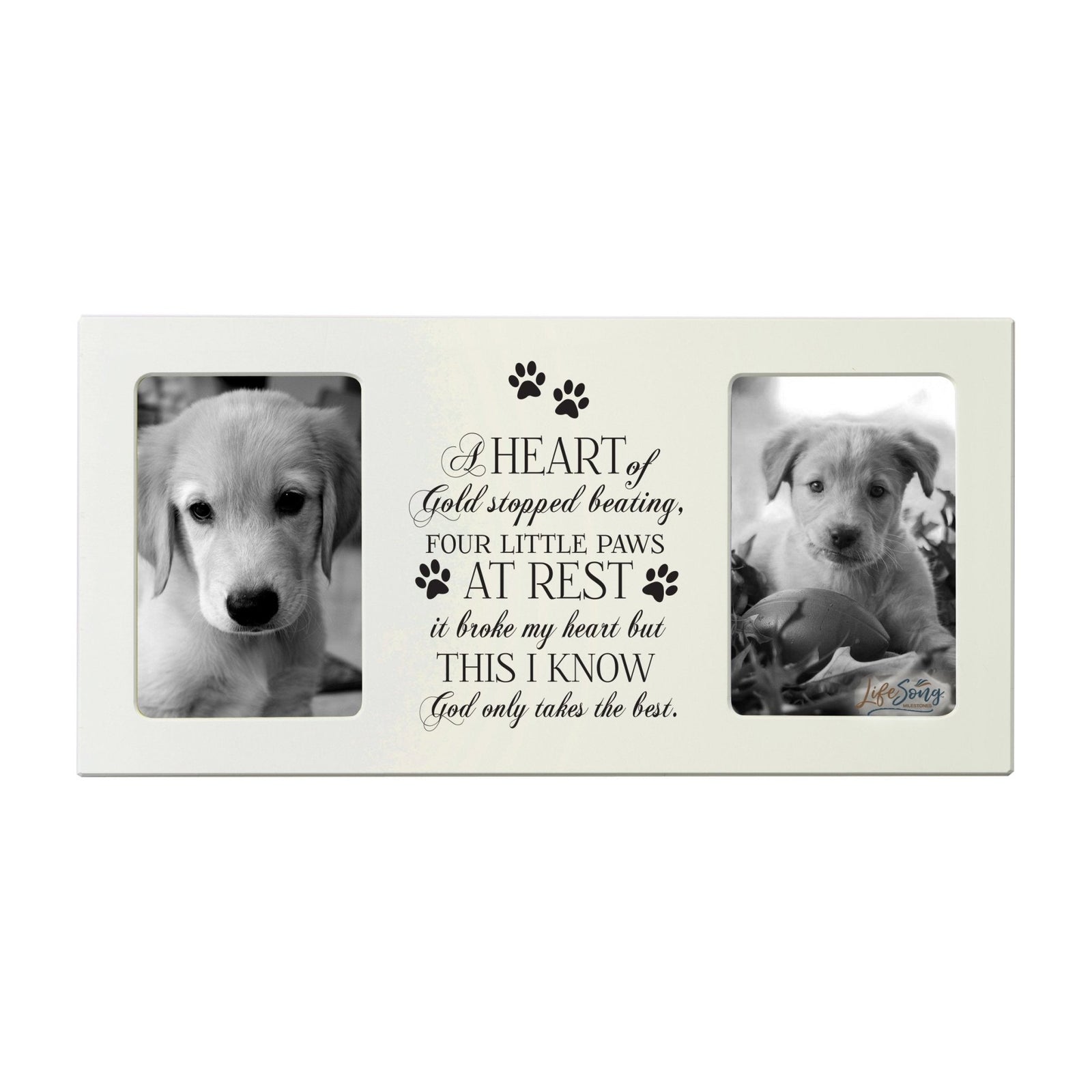 Pet Memorial Double Picture Frame - A Heart of Gold - LifeSong Milestones