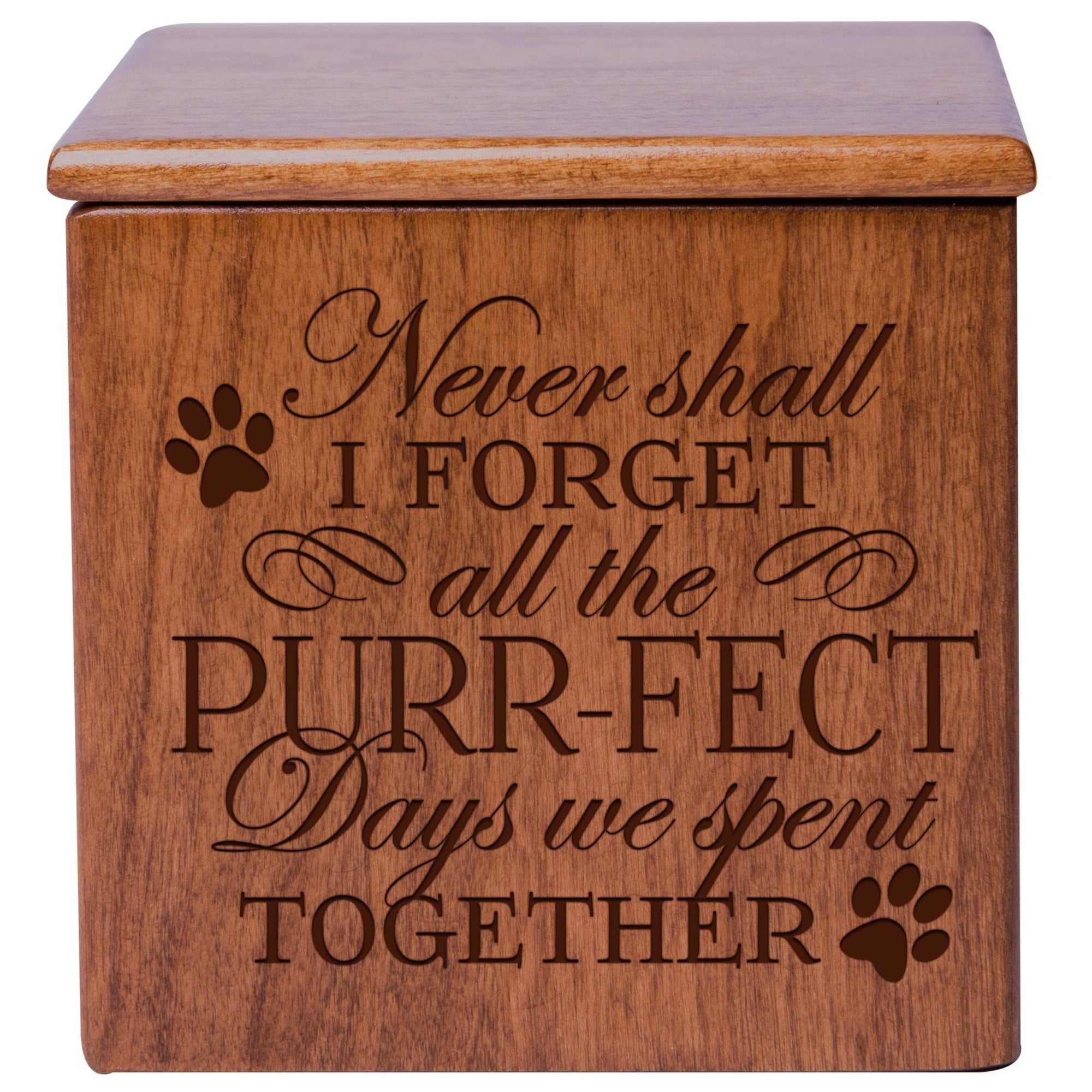 Pet Memorial Keepsake Cremation Urn Box for Cat - Never Shall I Forget - LifeSong Milestones