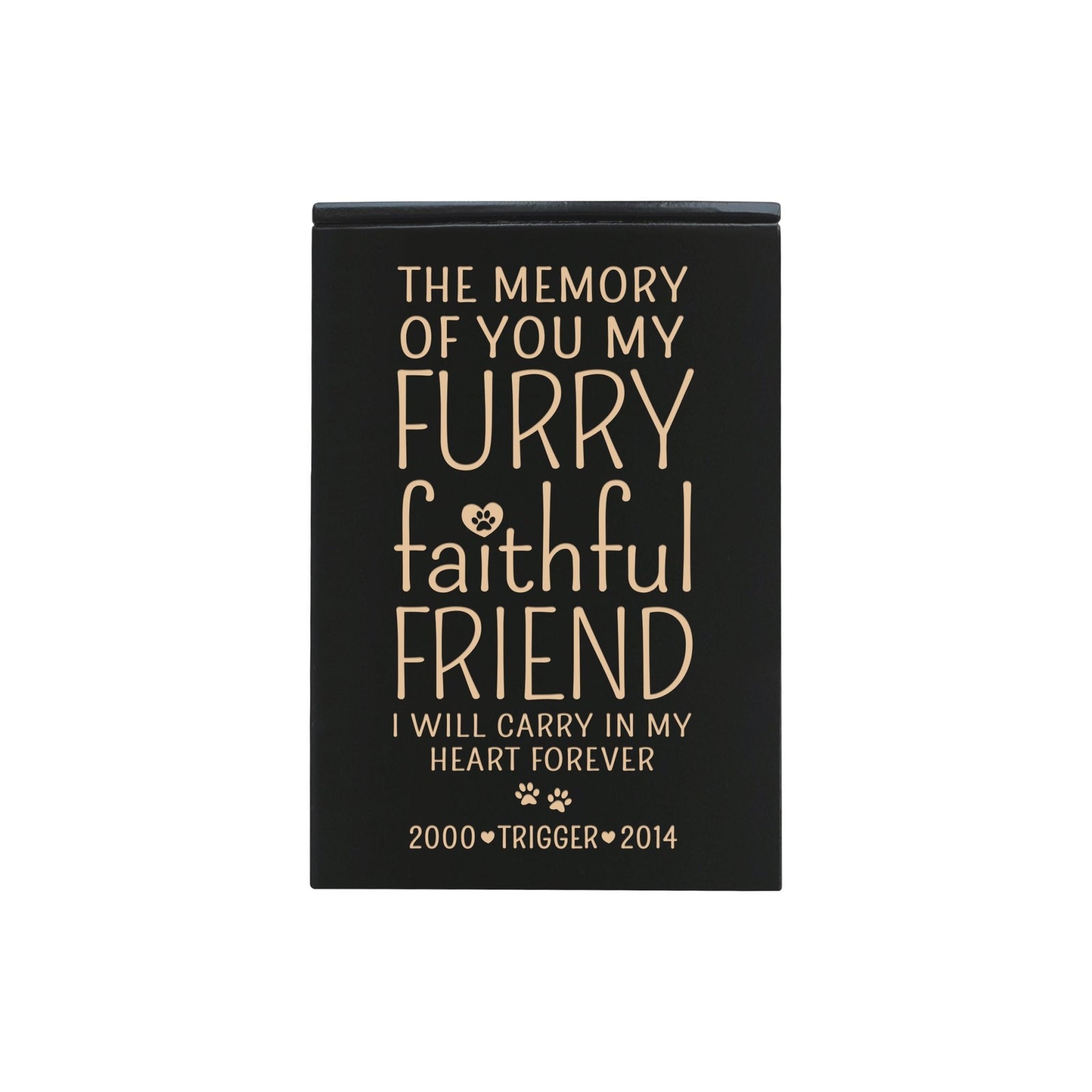 Pet Memorial Keepsake Cremation Urn Box For Dog or Cat - The Memory of You - LifeSong Milestones