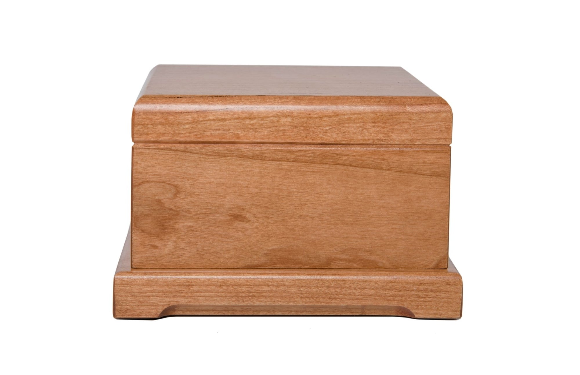 Pet Memorial Keepsake Urn Box for Dog or Cat - I Held You In My Arms - LifeSong Milestones