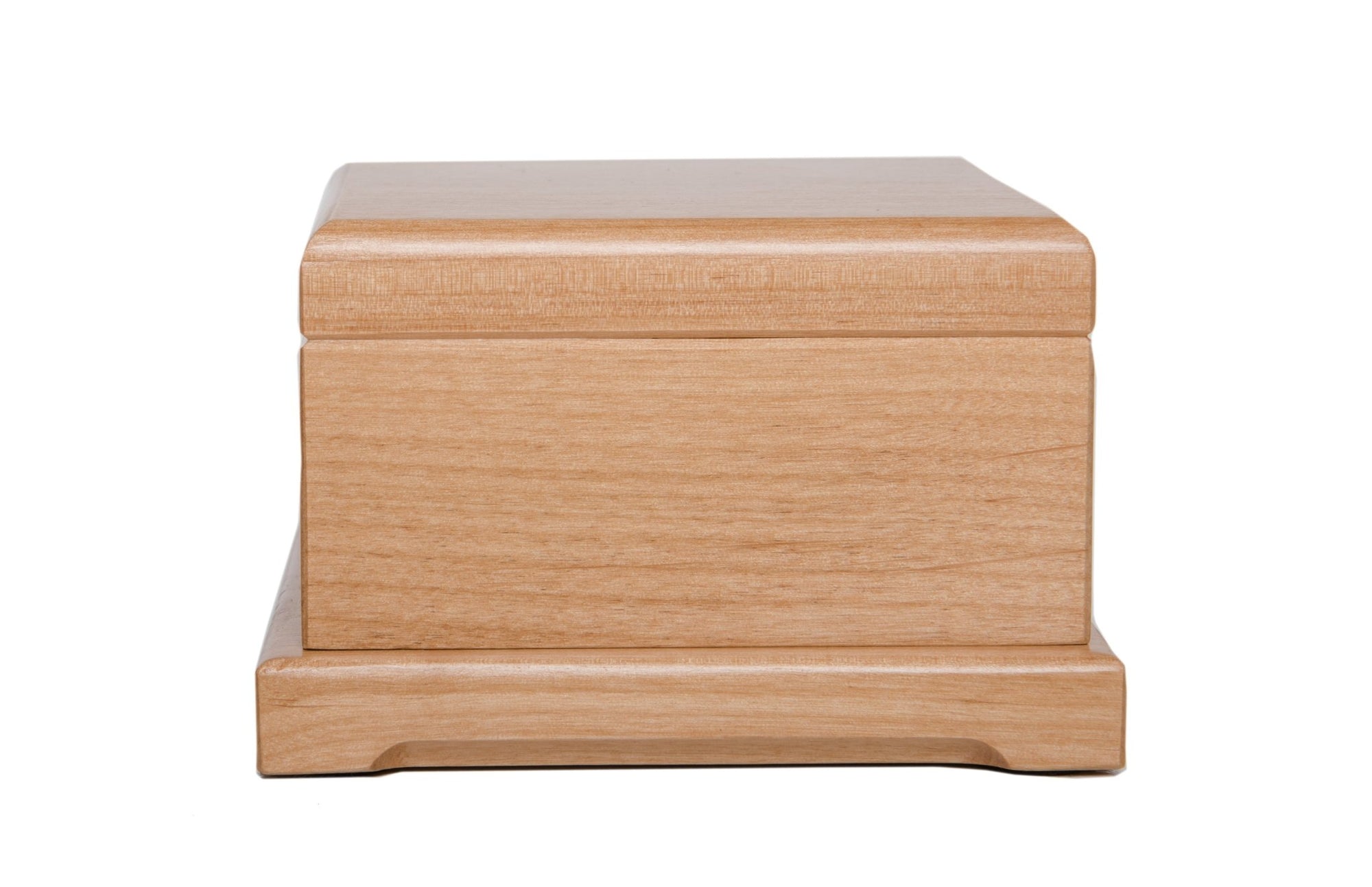 Pet Memorial Keepsake Urn Box for Dog or Cat - It Broke Our Hearts To Lose You - LifeSong Milestones