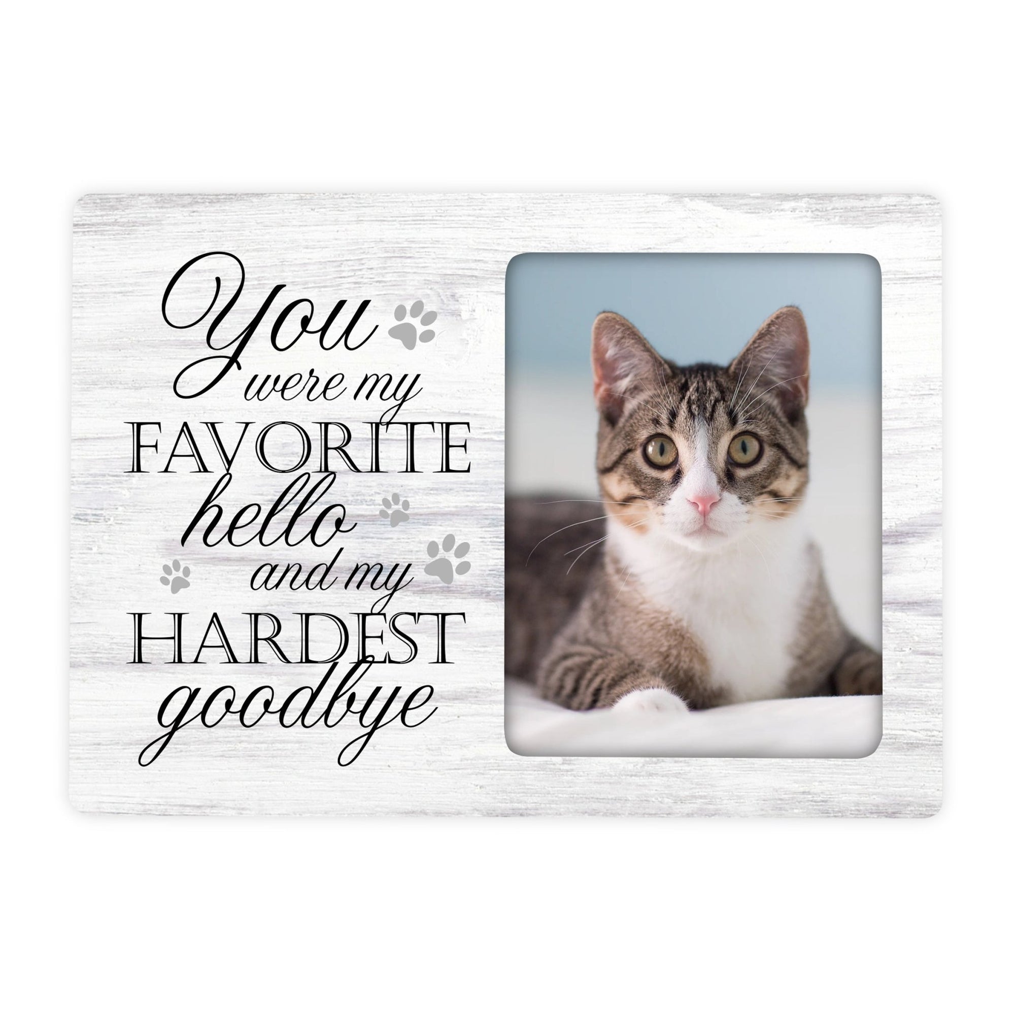 Pet Memorial Magnet Picture Frame - You Were My Favorite Hello - LifeSong Milestones
