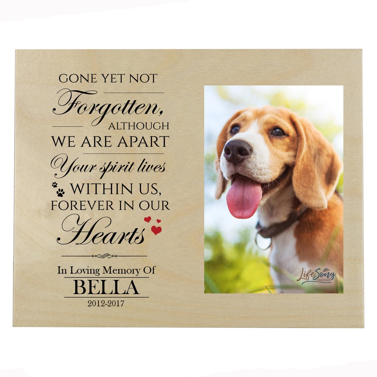 Pet Memorial Photo Wall Plaque Décor - Gone Yet Not Forgotten - LifeSong Milestones