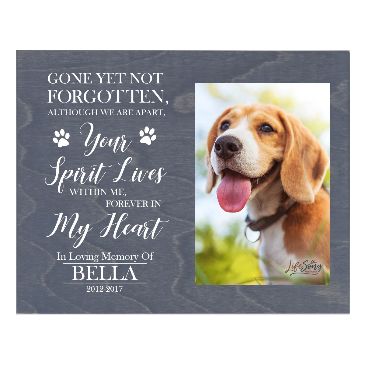 Pet Memorial Photo Wall Plaque Décor - Gone Yet Not Forgotten - LifeSong Milestones