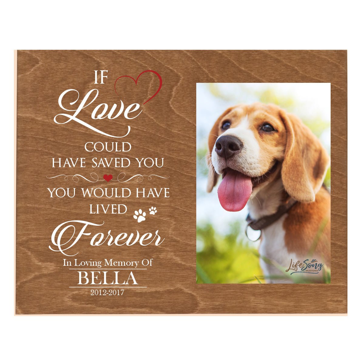 Pet Memorial Photo Wall Plaque Décor - If Love Could Have Saved You - LifeSong Milestones