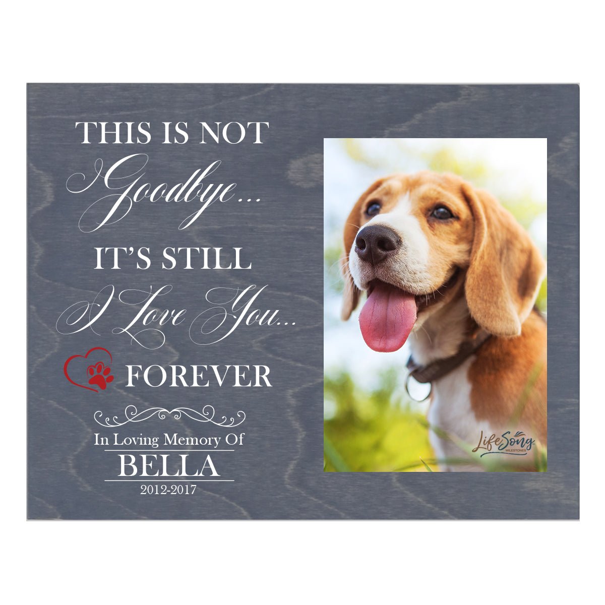 Pet Memorial Photo Wall Plaque Décor - This Is Not Goodbye - LifeSong Milestones