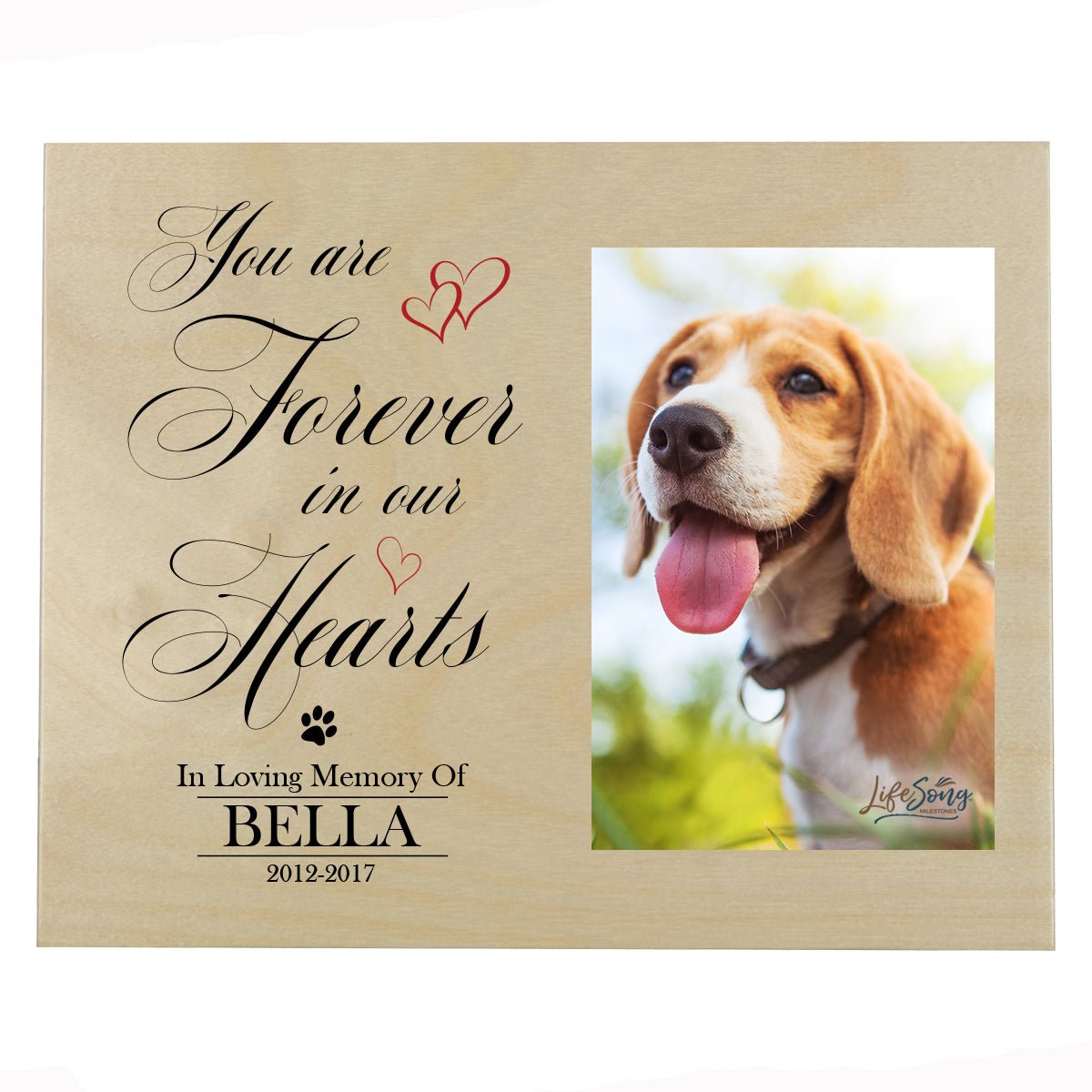 Pet Memorial Photo Wall Plaque Décor - You Are Forever In Our Hearts - LifeSong Milestones