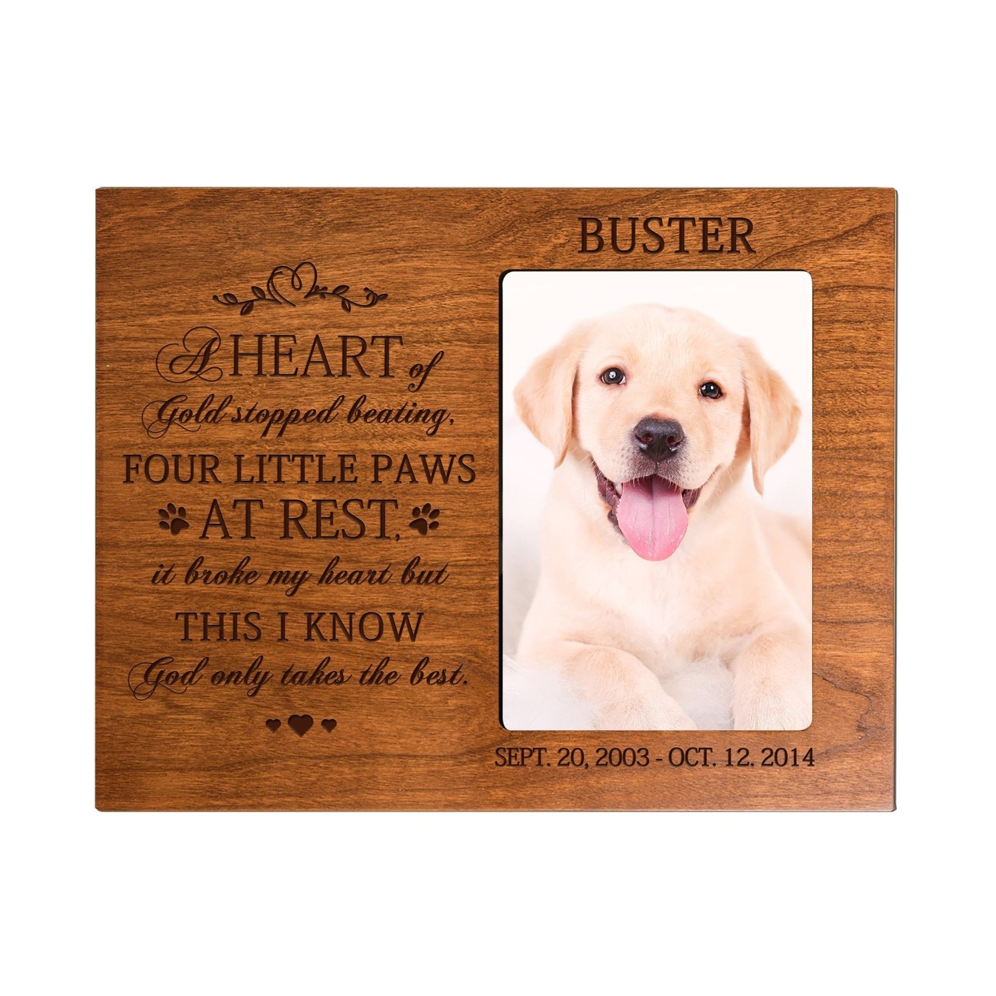 Pet Memorial Picture Frame - A Heart of Gold - LifeSong Milestones