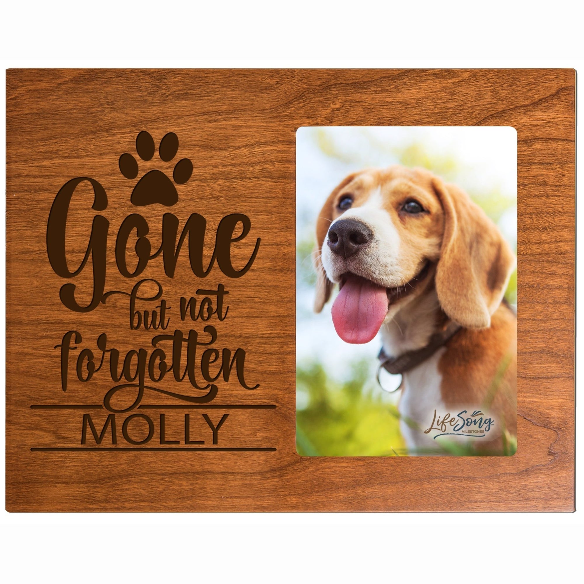 Pet Memorial Picture Frame - Gone But Not Forgotten - LifeSong Milestones