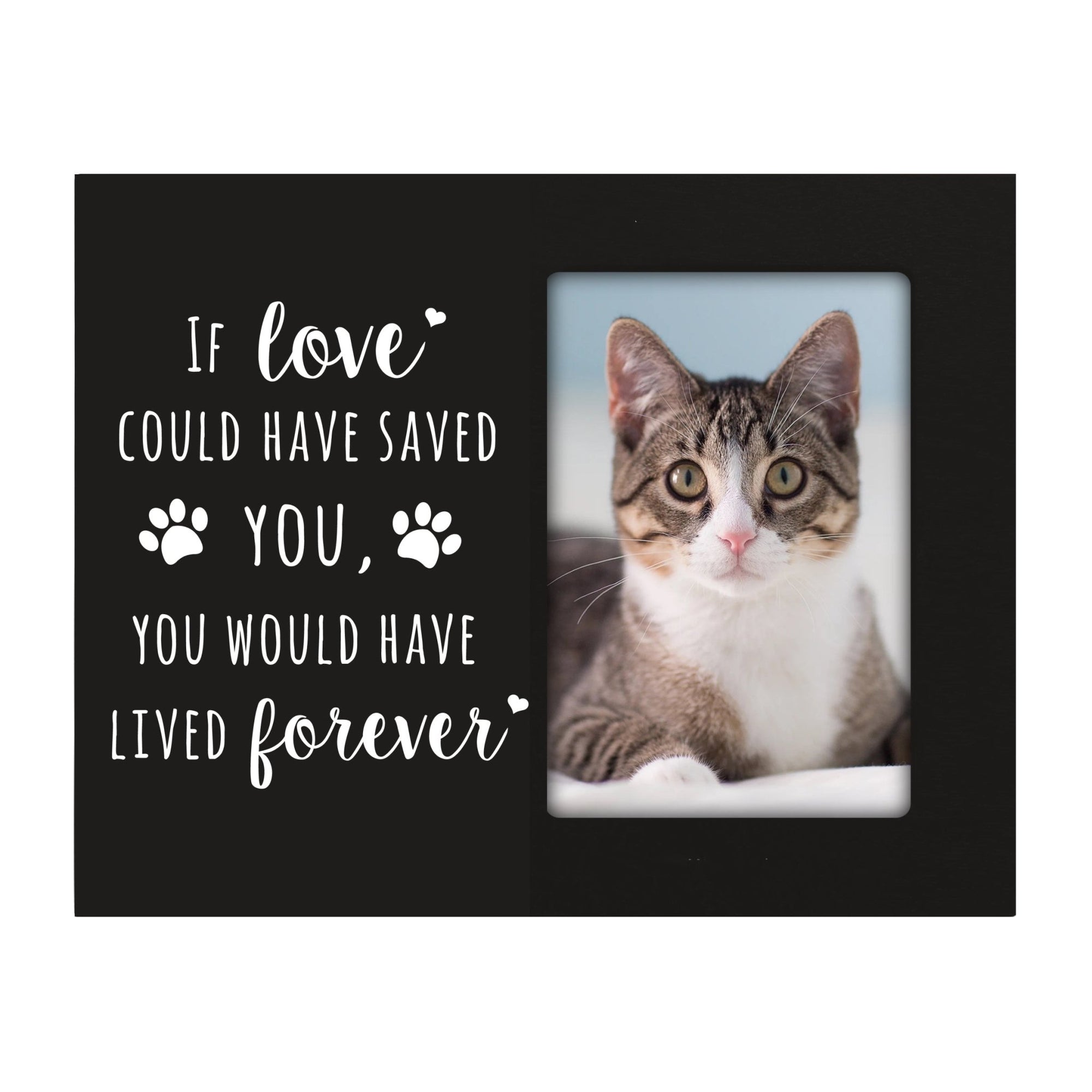 Pet Memorial Picture Frame - If Love Could Have Saved You - LifeSong Milestones