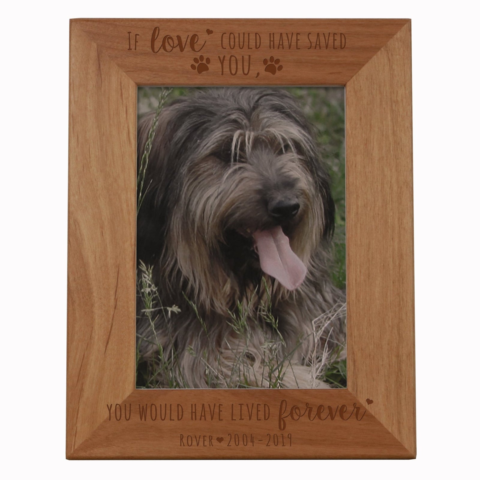 Pet Memorial Picture Frame - If Love Could Have Saved You - LifeSong Milestones