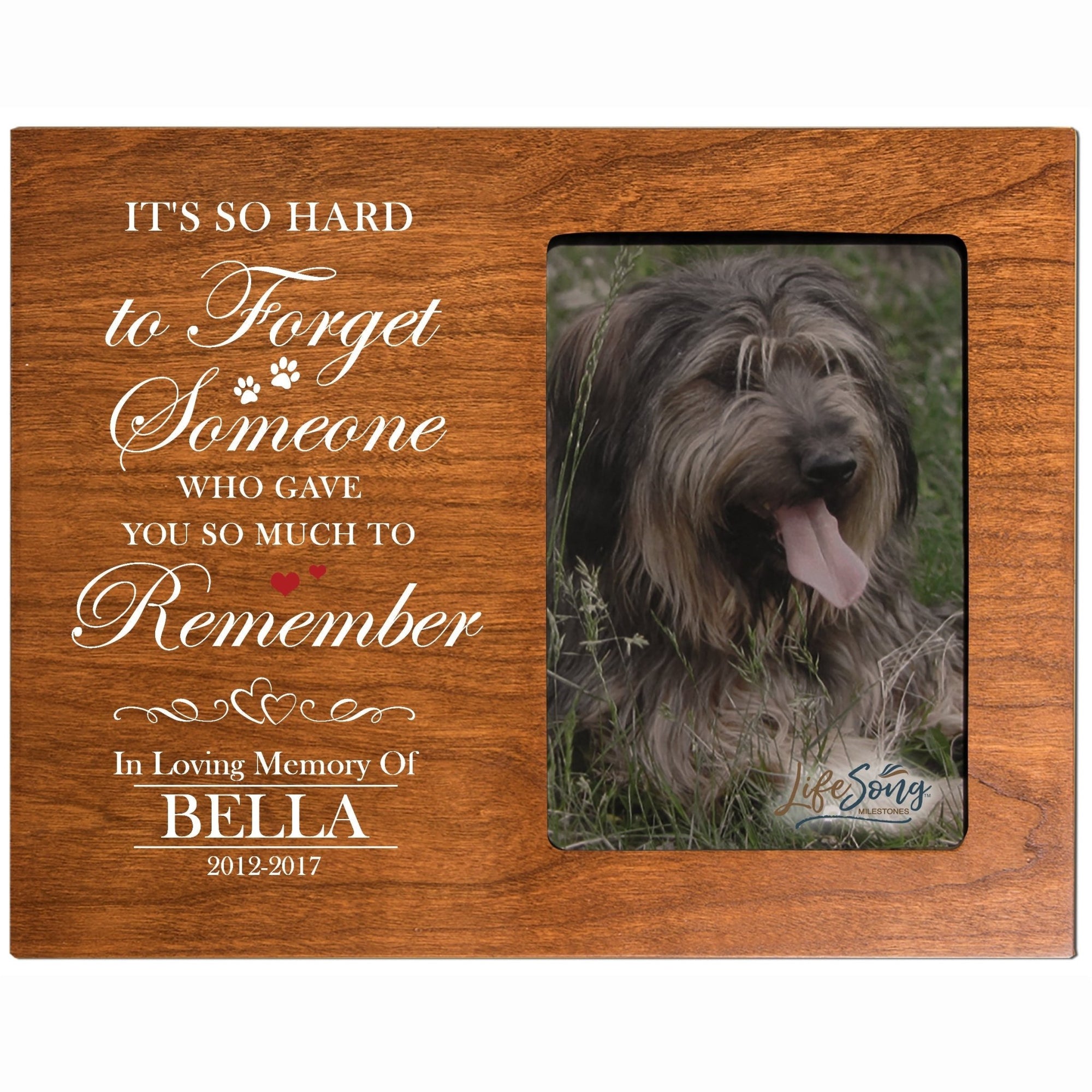 Pet Memorial Picture Frame - It's So Hard To Forget Someone - LifeSong Milestones