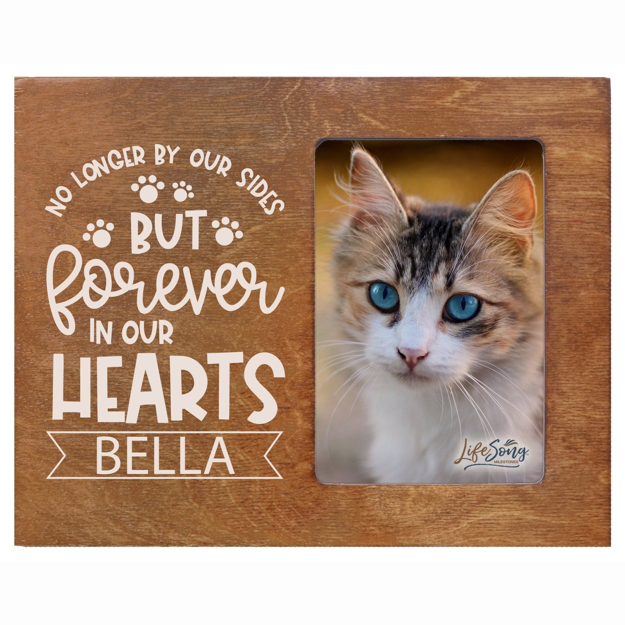 Pet Memorial Picture Frame - No Longer By Our Sides - LifeSong Milestones