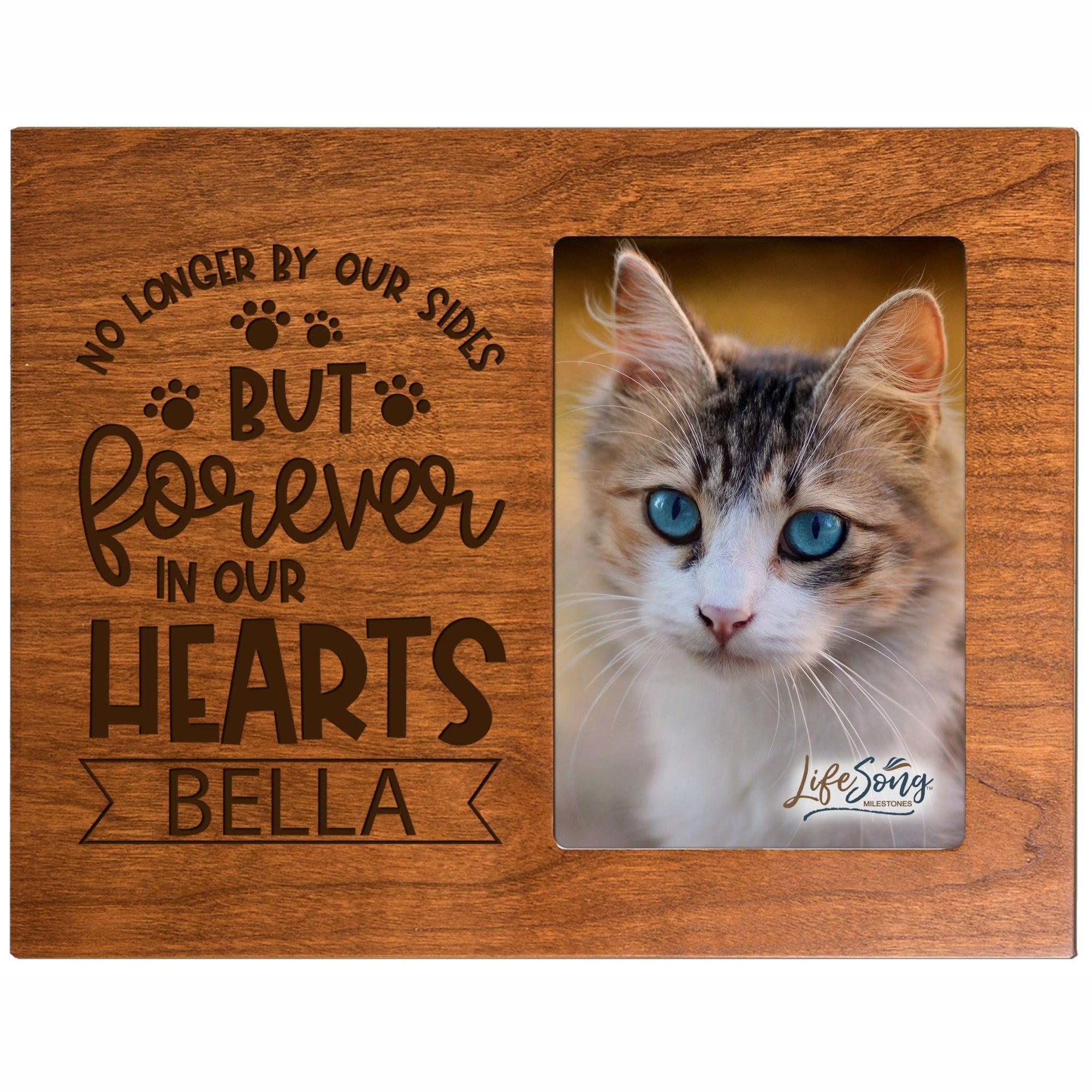 Pet Memorial Picture Frame - No Longer By Our Sides - LifeSong Milestones