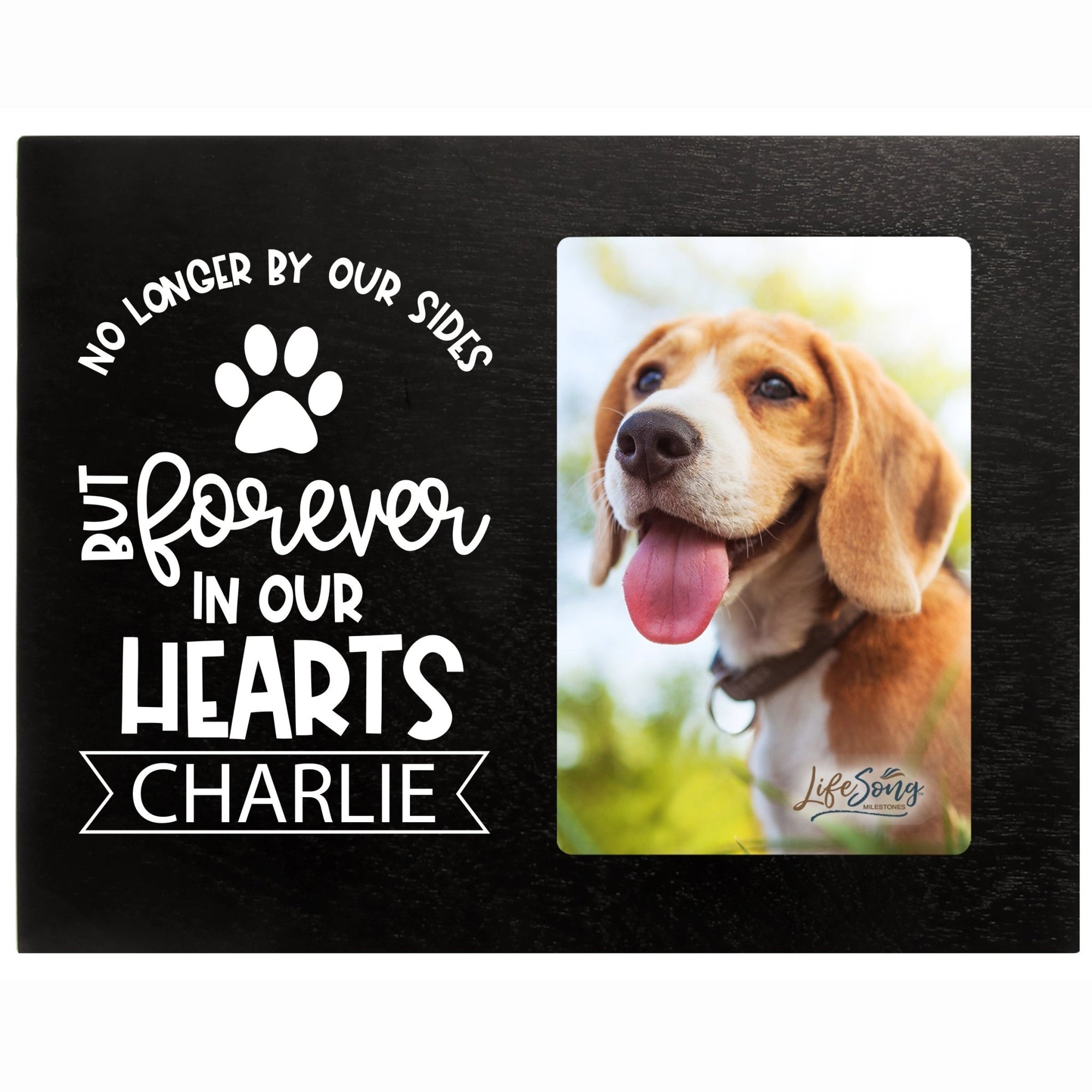 Pet Memorial Picture Frame - No Longer By Our Sides - LifeSong Milestones